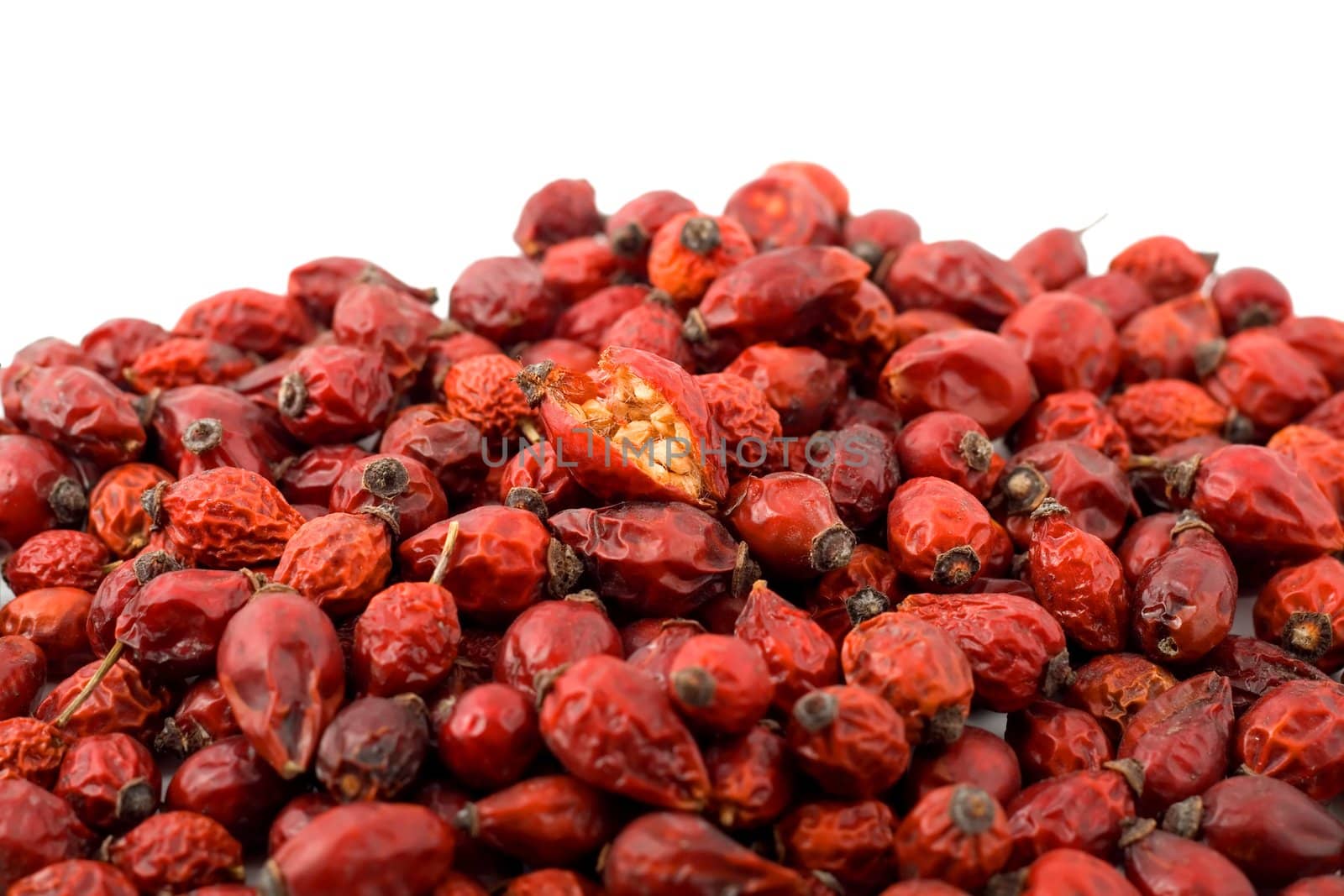 red berry wild rose isolated on white background