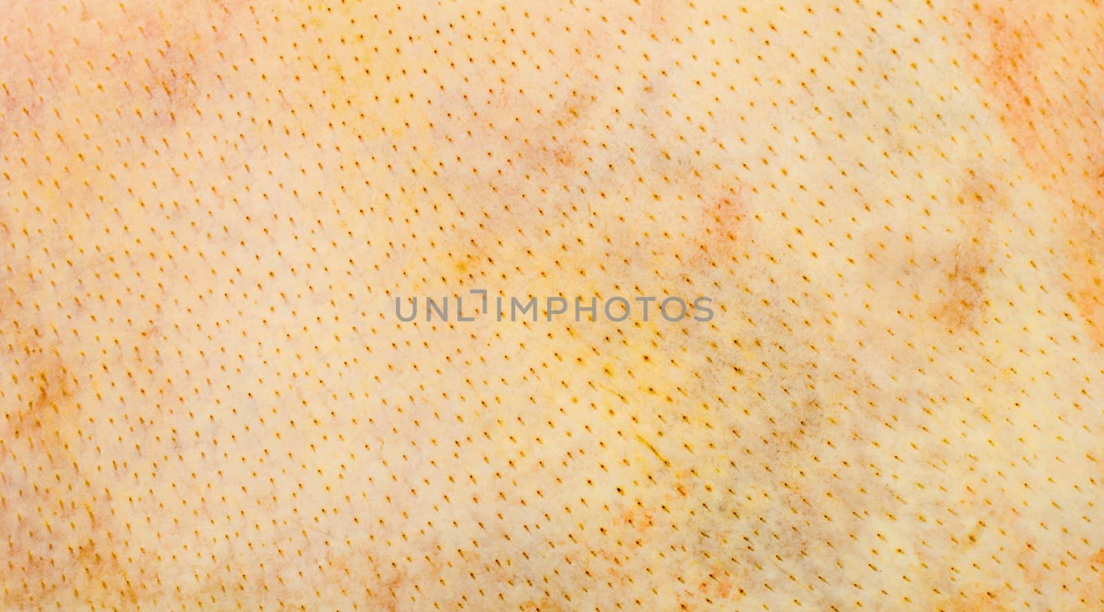 pigskin background,textured pig leather macro