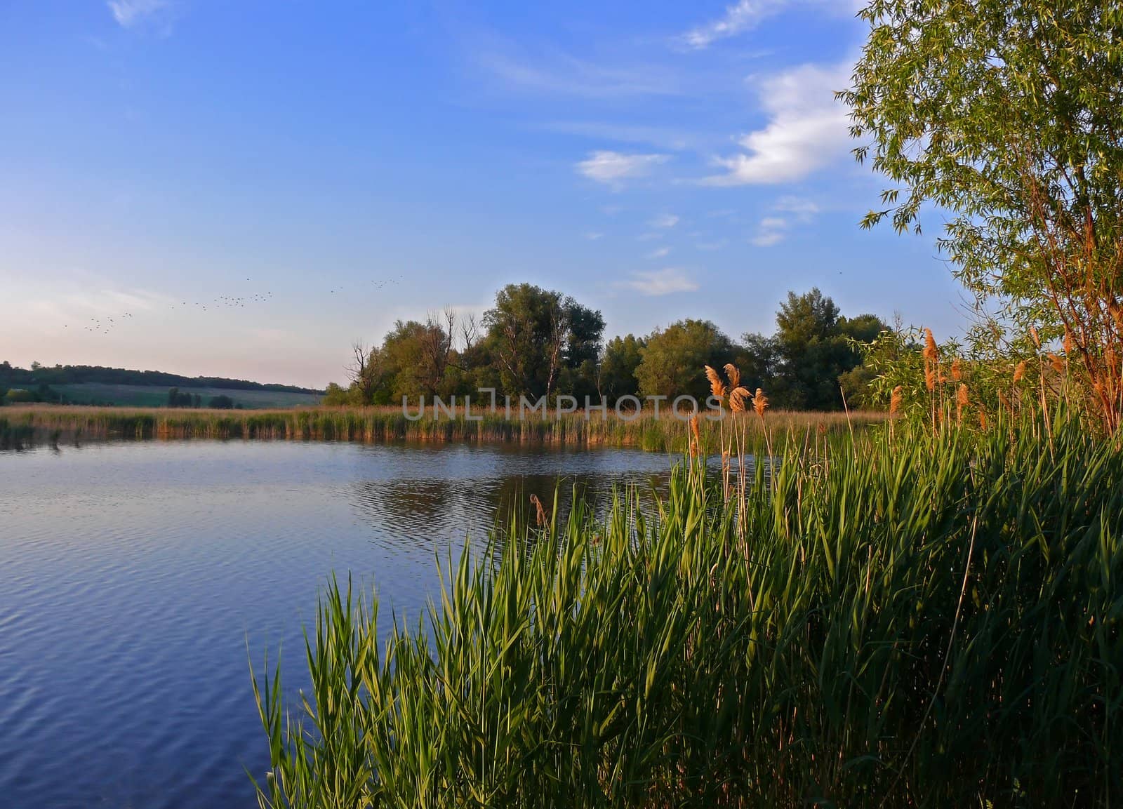Beautiful lake view sunrise summer background