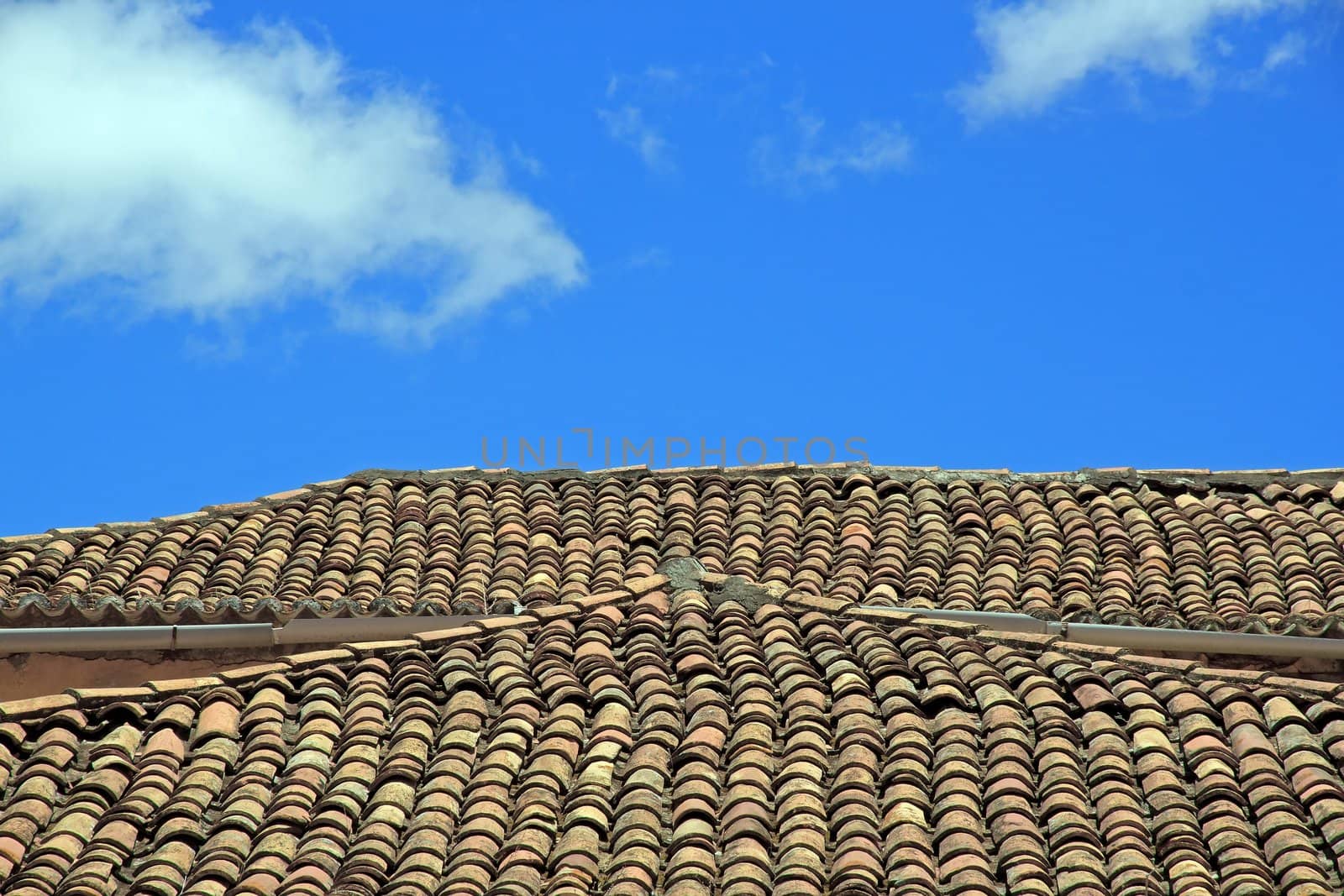 roof typical of the island of Madeira by neko92vl