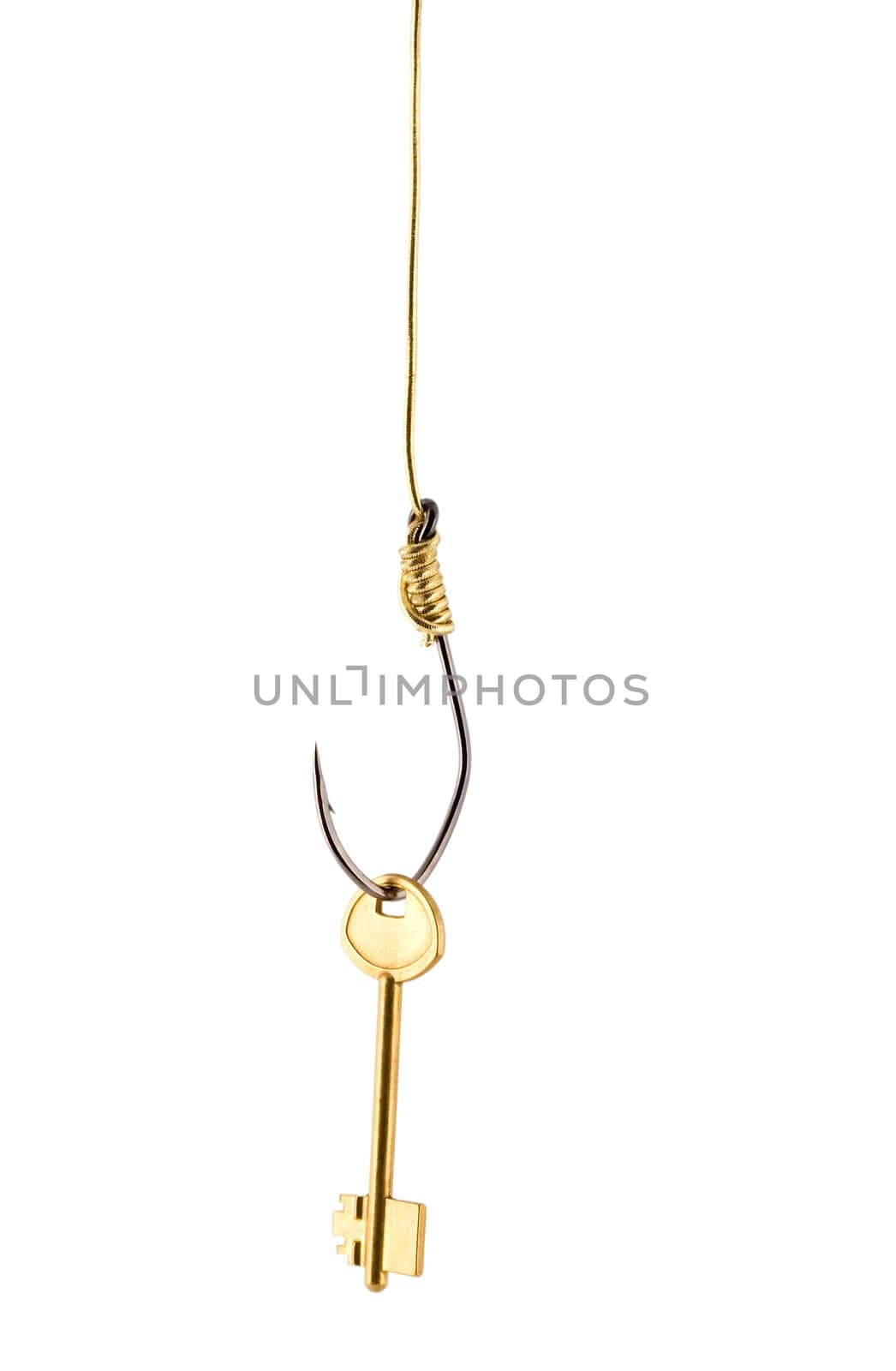 Golden key on hook concepts isolated on white background