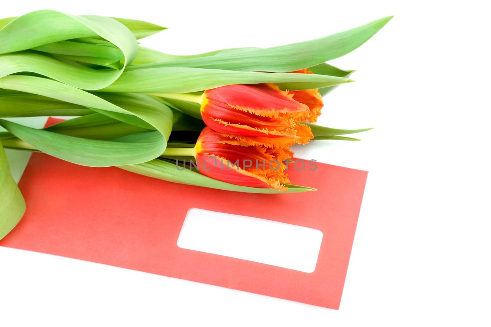 flowers on envelope , close-up isolated on white background