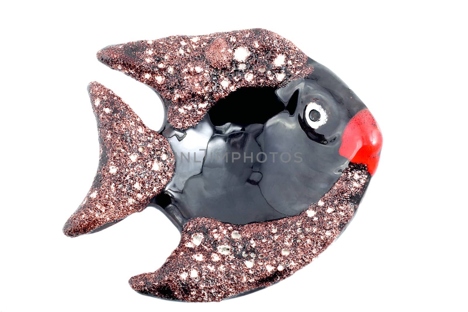 decorative fish isolated over green background