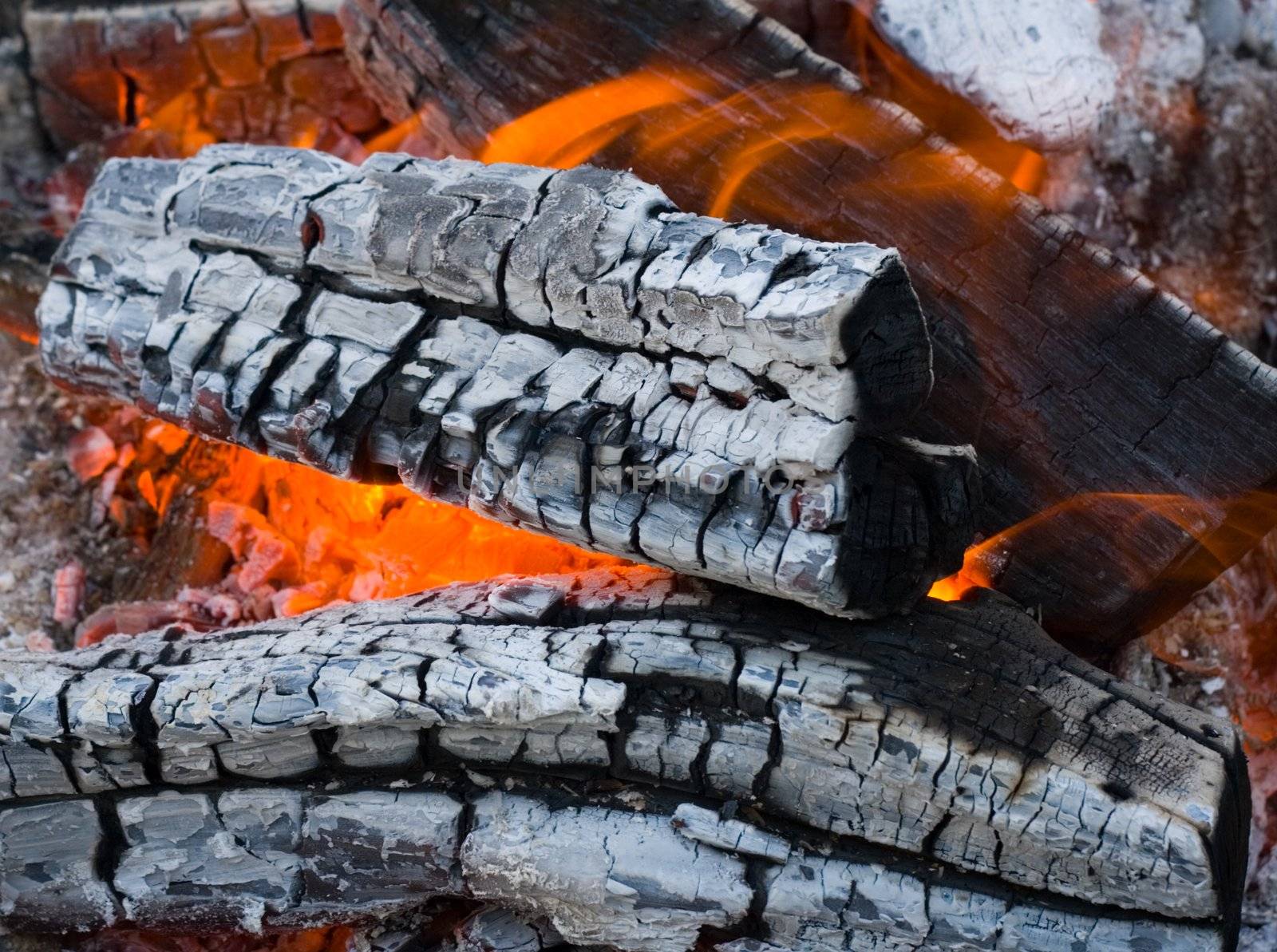 Burninging firewood ,background campfires