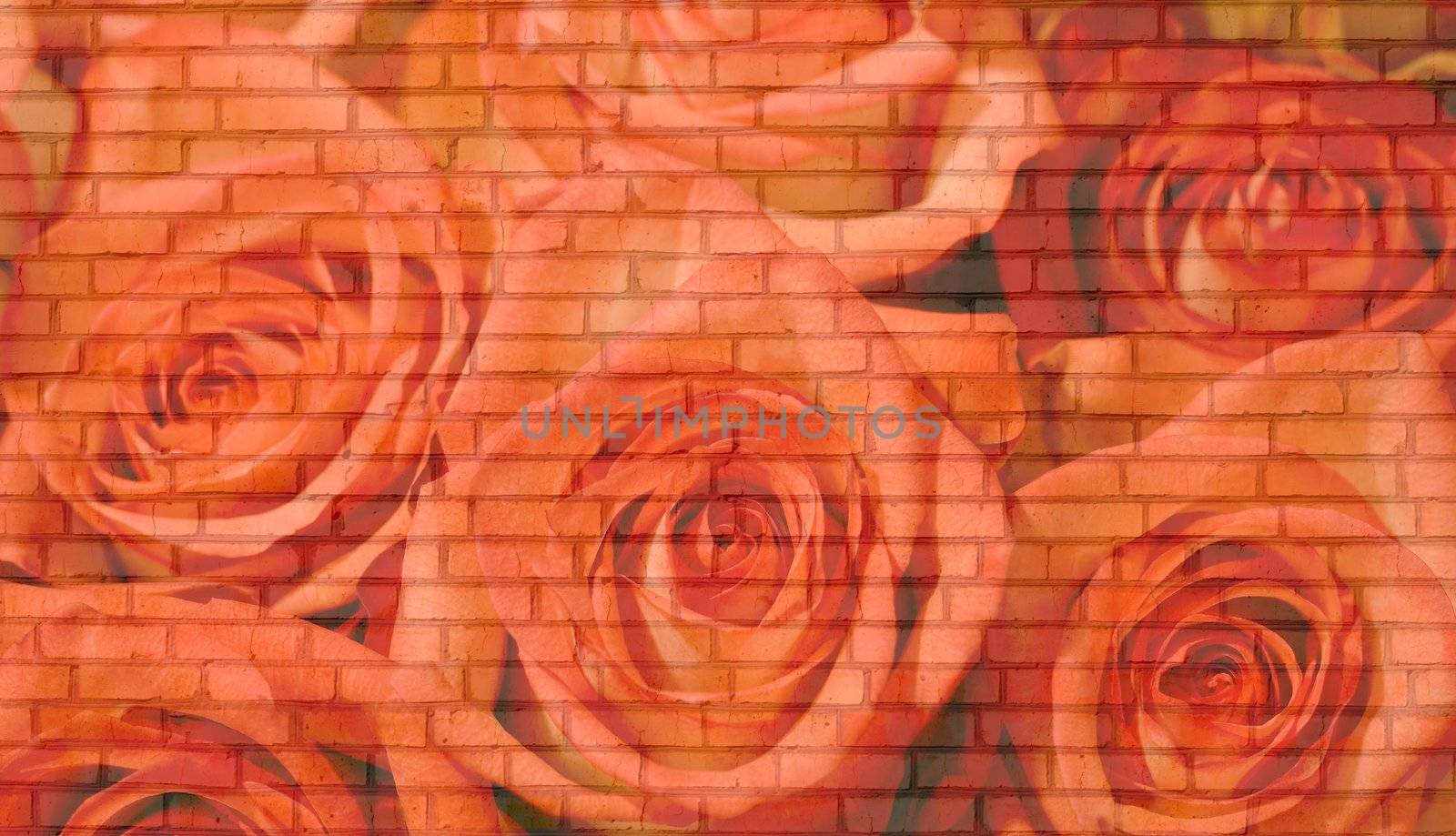 bricks wall roses background. texture old bricks .