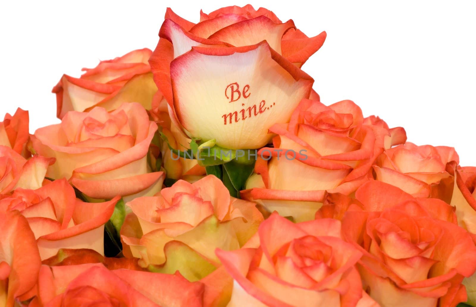 bouquet pink roses with inscription "Be Mine..." ,isolated in white background