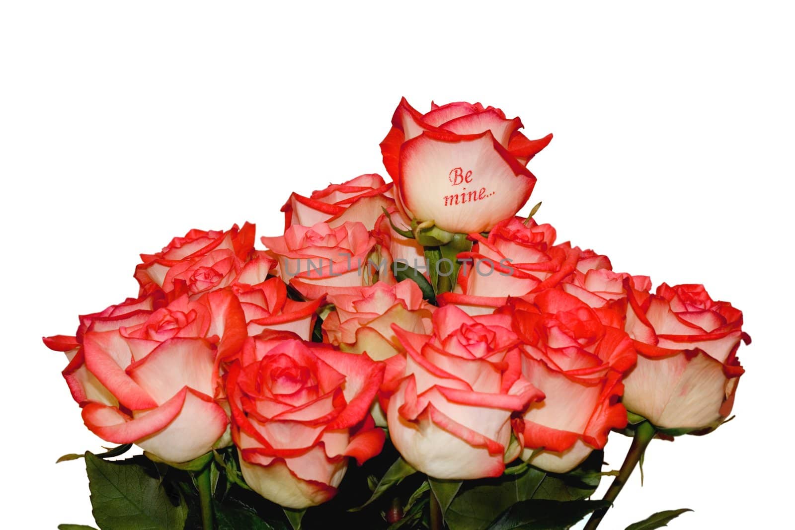 Bouquet of the roses,one rose is signed "Be Mine..."