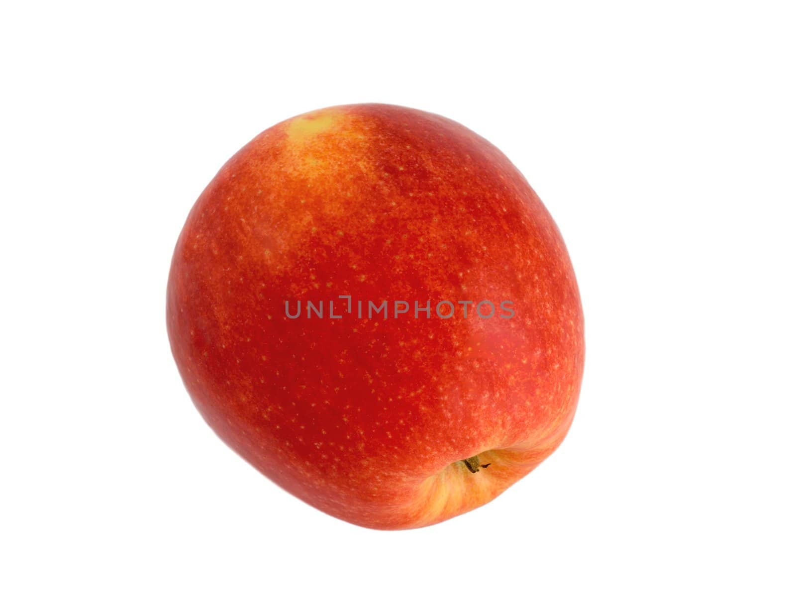 apple isolated on a white background.