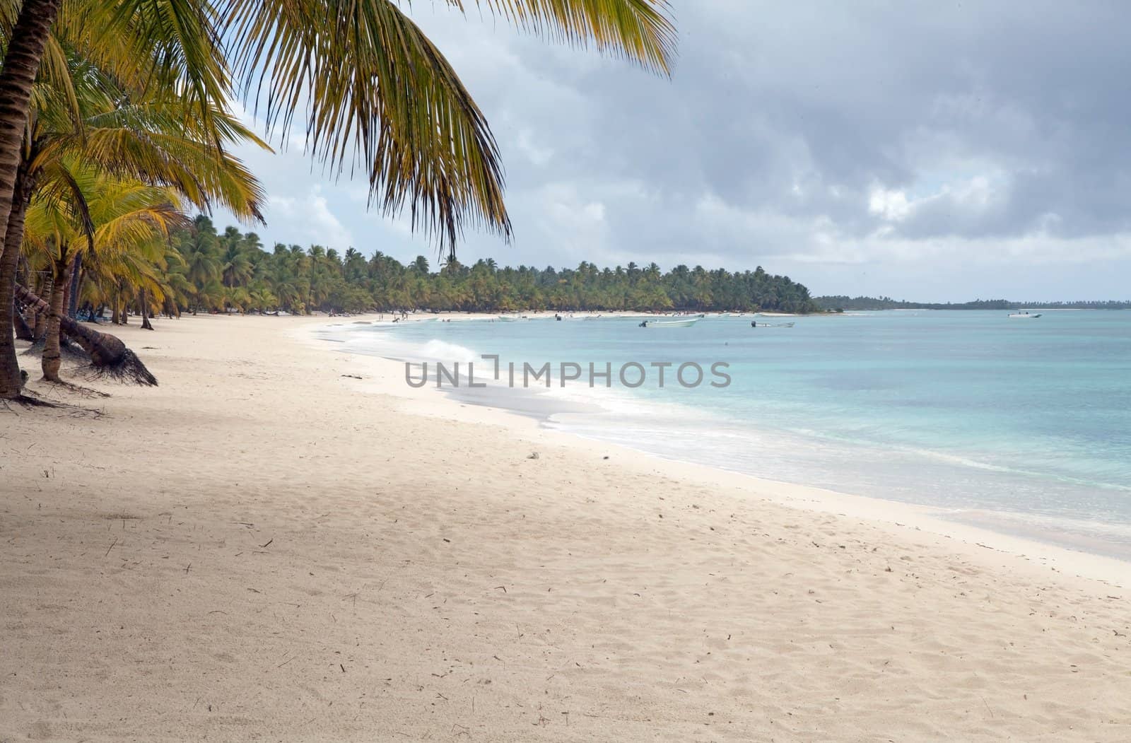 Saona island beach, Dominican Republic, with white sand and palm trees with boat and ocean