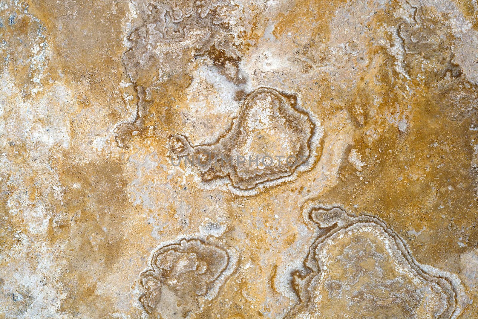 Marble and travertine texture stone texture background