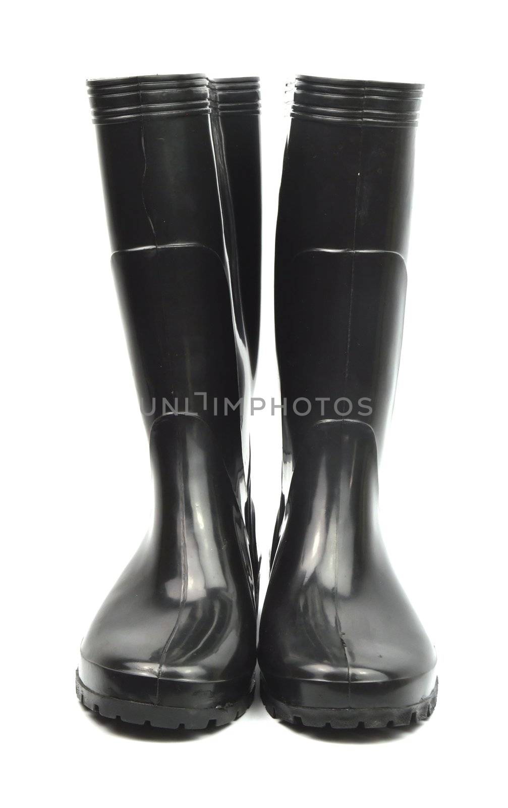 gum boots, photo on the white background 
