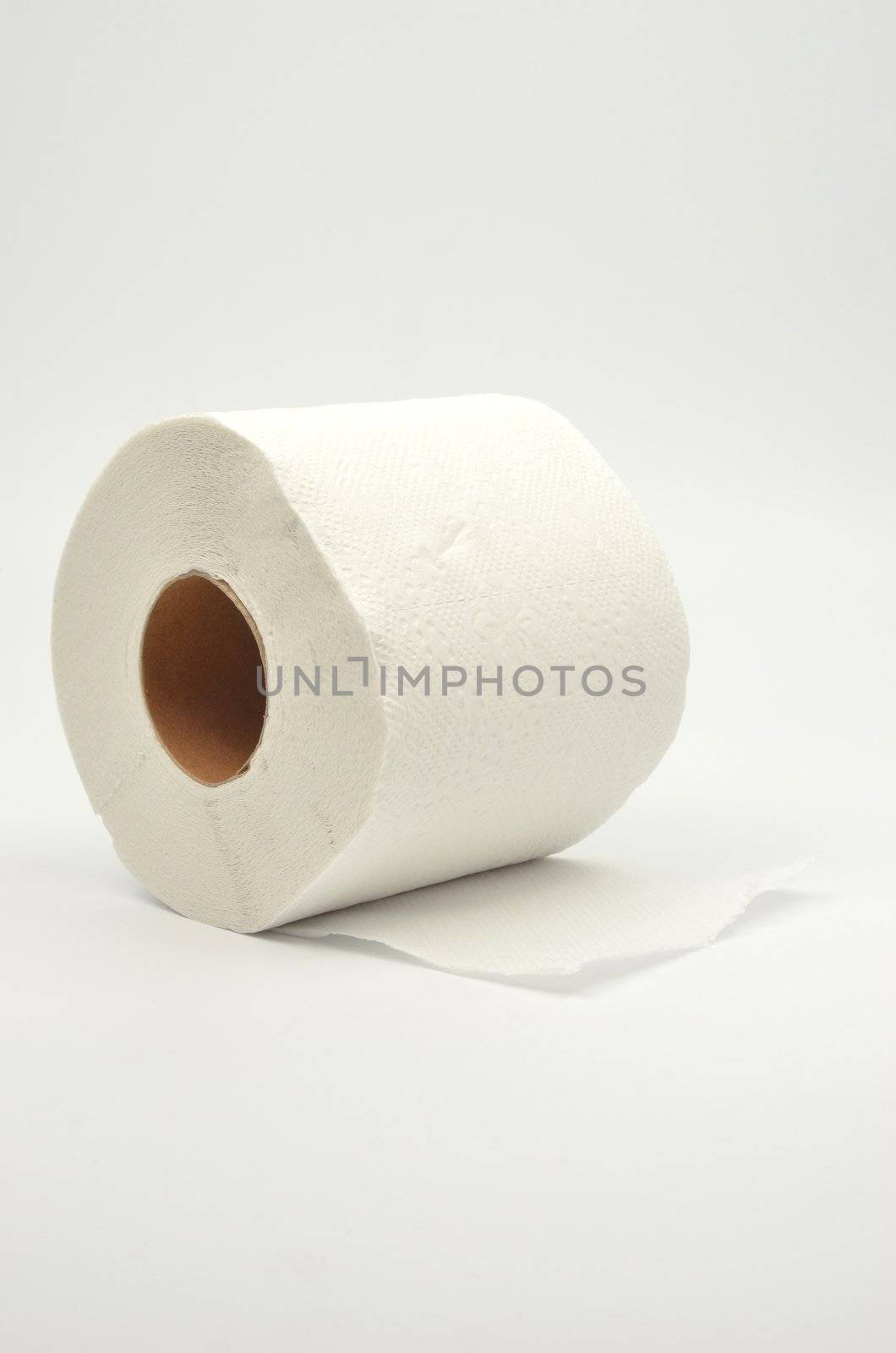 Simple toilet paper on gray background