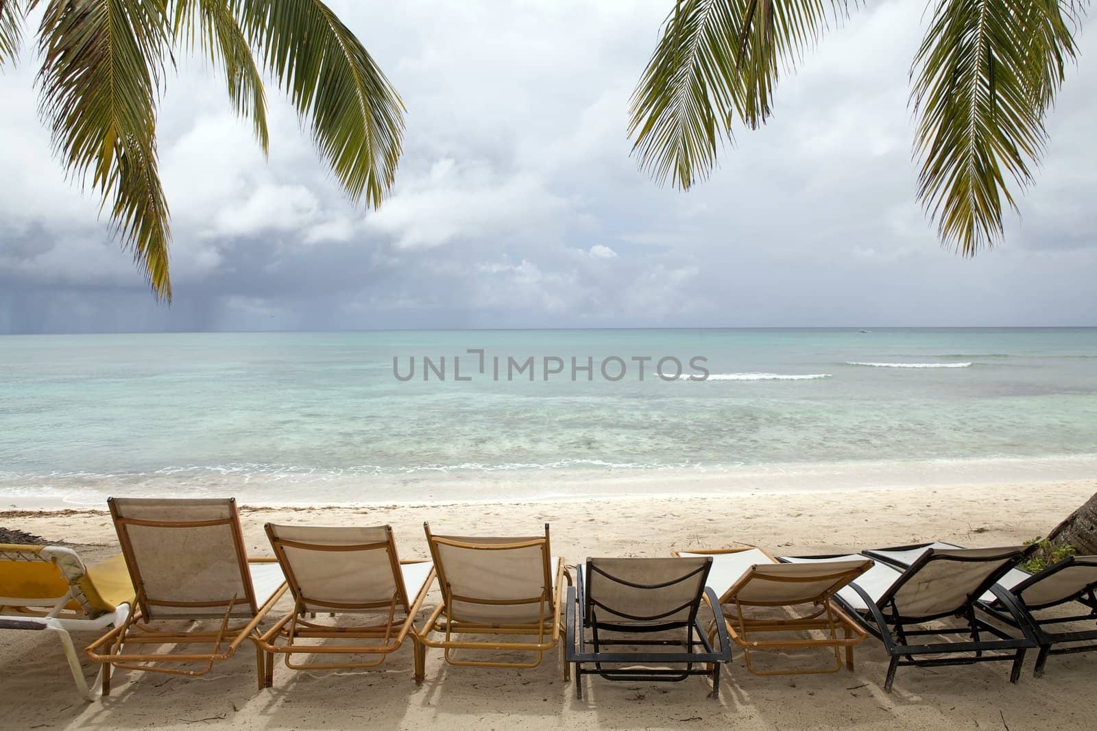 Deck chairs on the beach with palm trees and ocean 