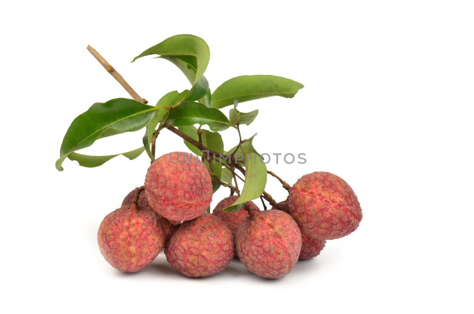 Fresh lychees isolated on white background