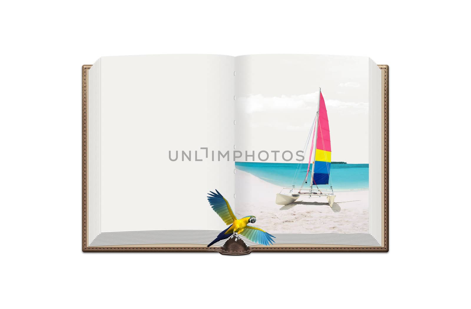 Book with photo and parrot on isolated background