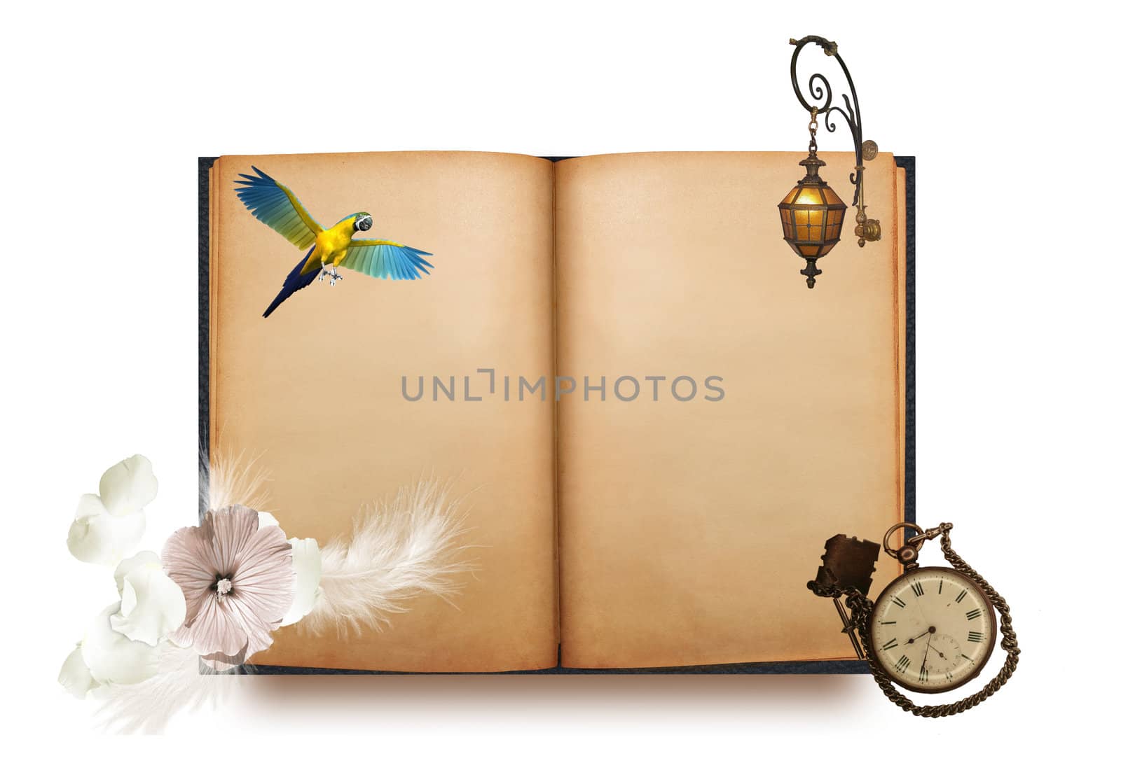 Old blanked book with parrot, flower, lantern and pocket watch