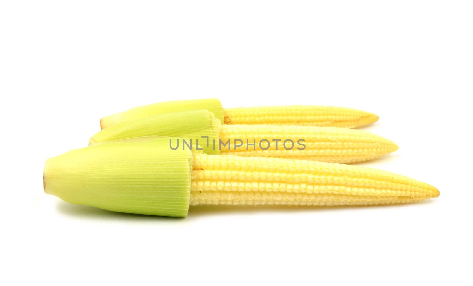 baby corn isolated on white background