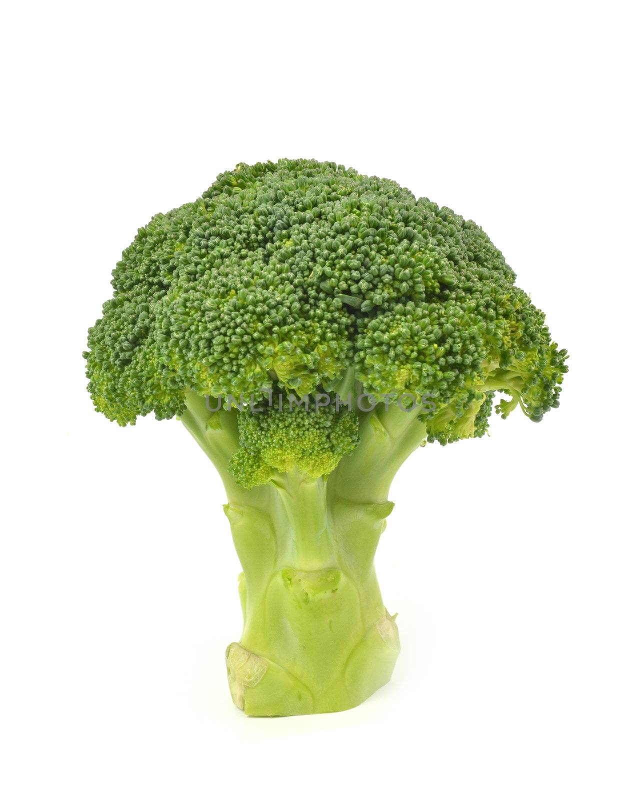 Broccoli isolated on White Background 