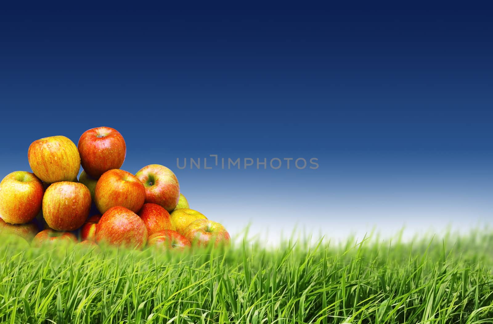 Apples fruit on the grass with the blue sky in the background