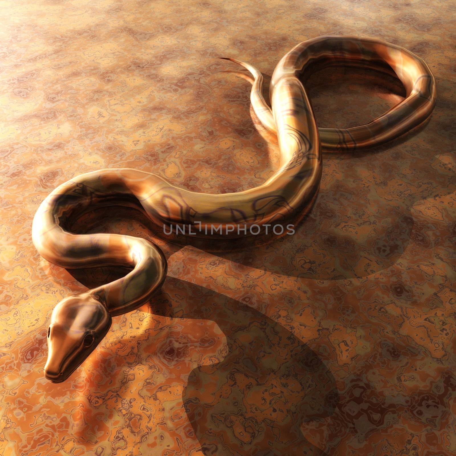 Snake by 3quarks