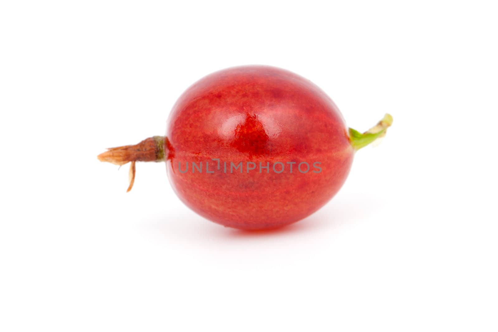 one fresh red gooseberry, over a white background.