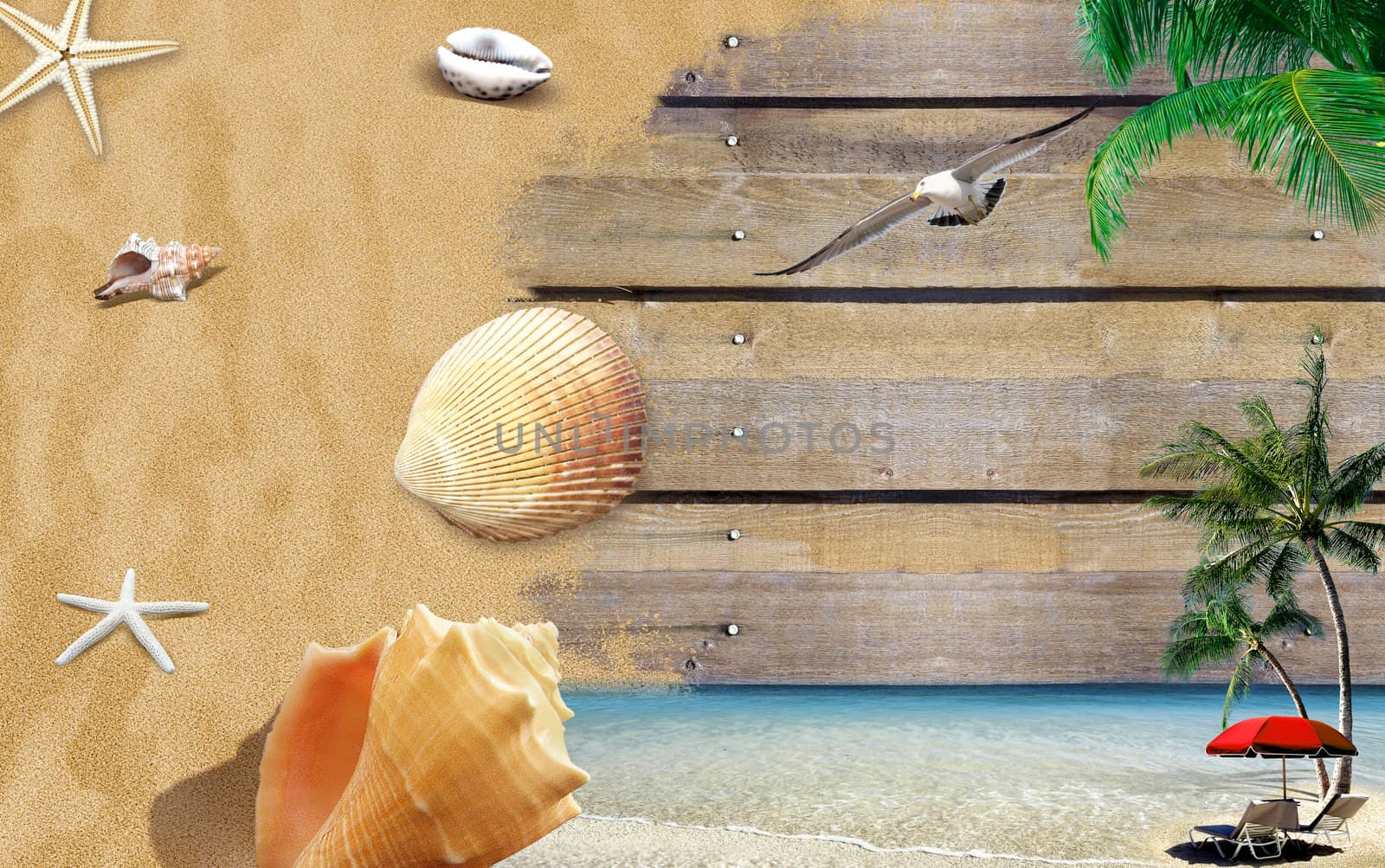 Tropical island with shells, palm trees, ocean and beach