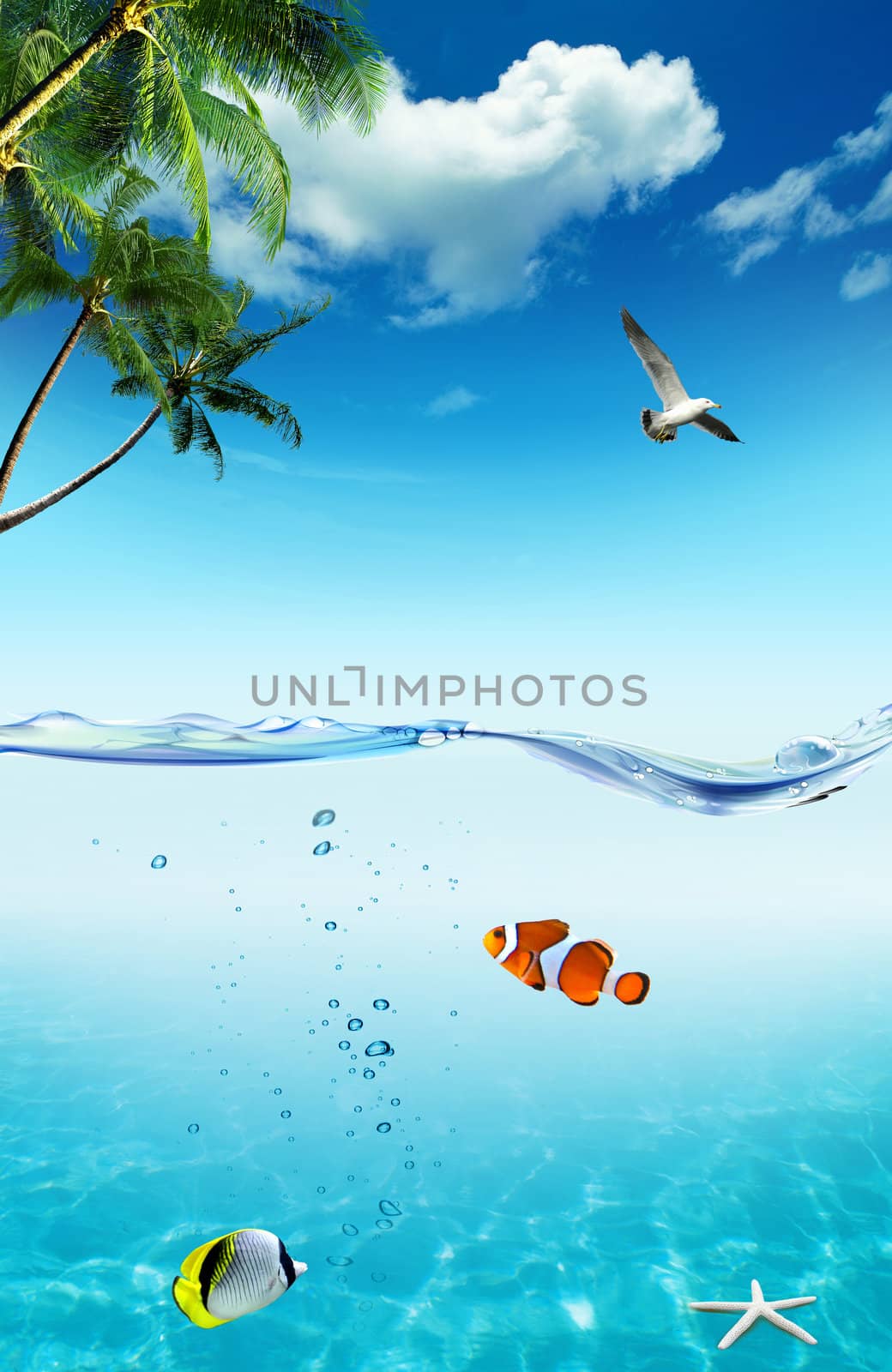 Ocean and tropical fishes with palm trees and seagull