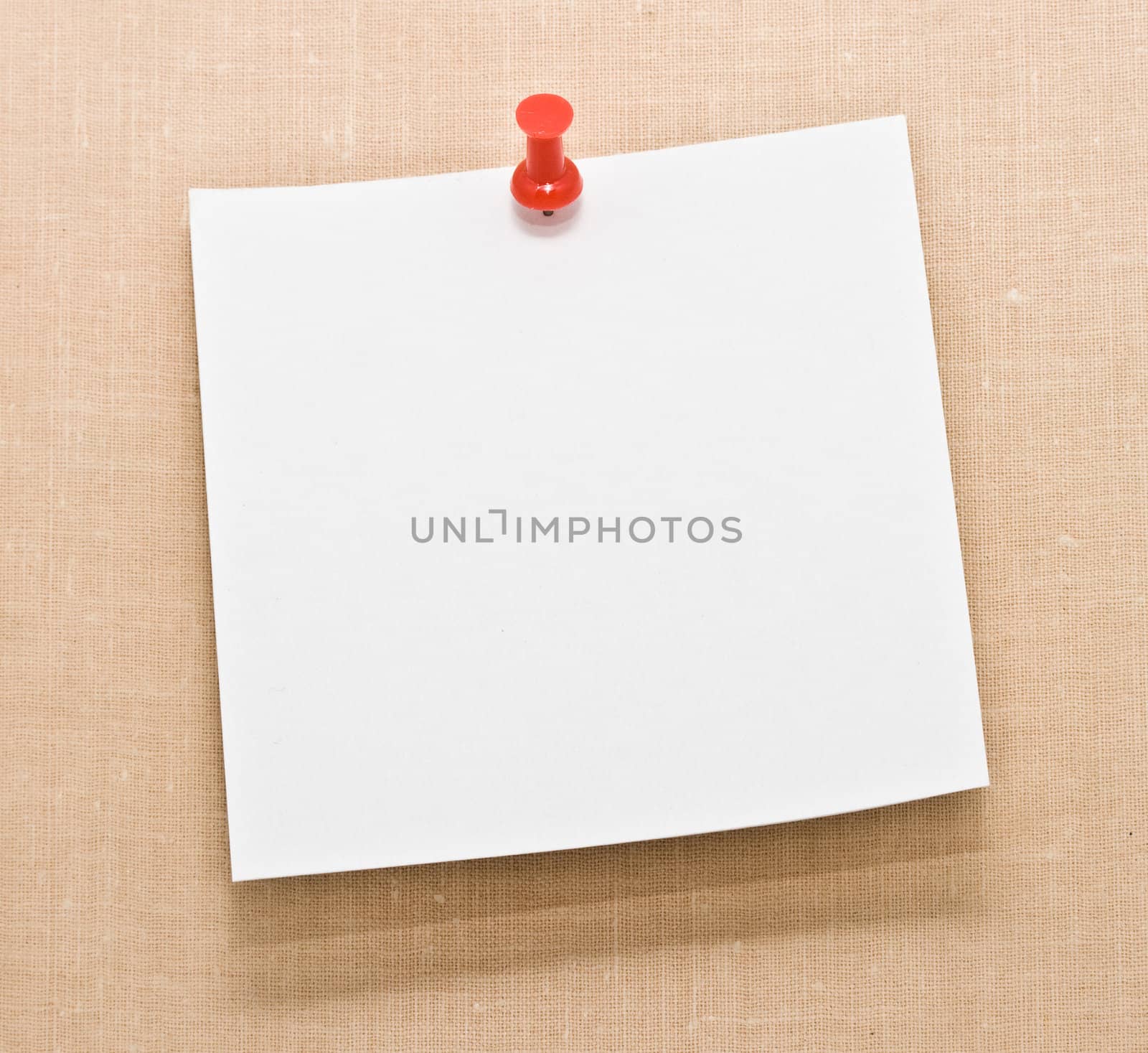 Note white paper tacked on a wall