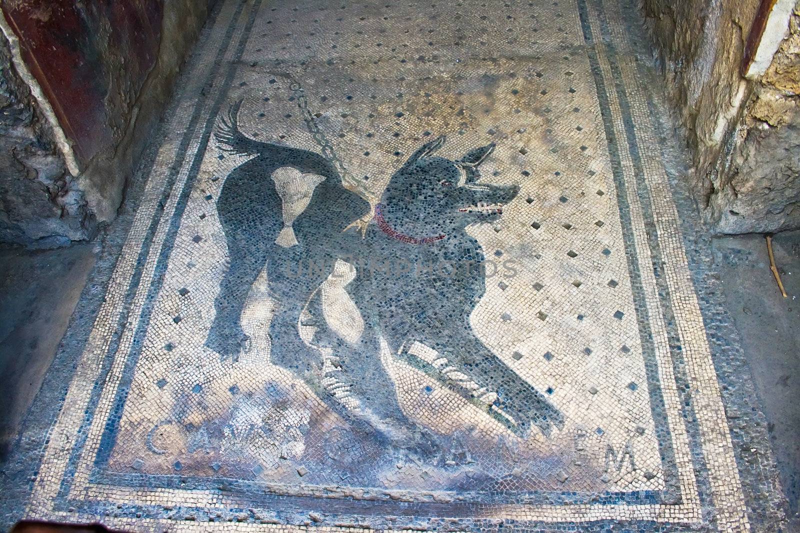 Cave Canem Beware of dog mosaic in Pompeii, Italy