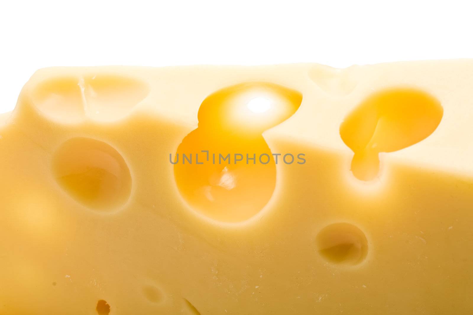 Cheese