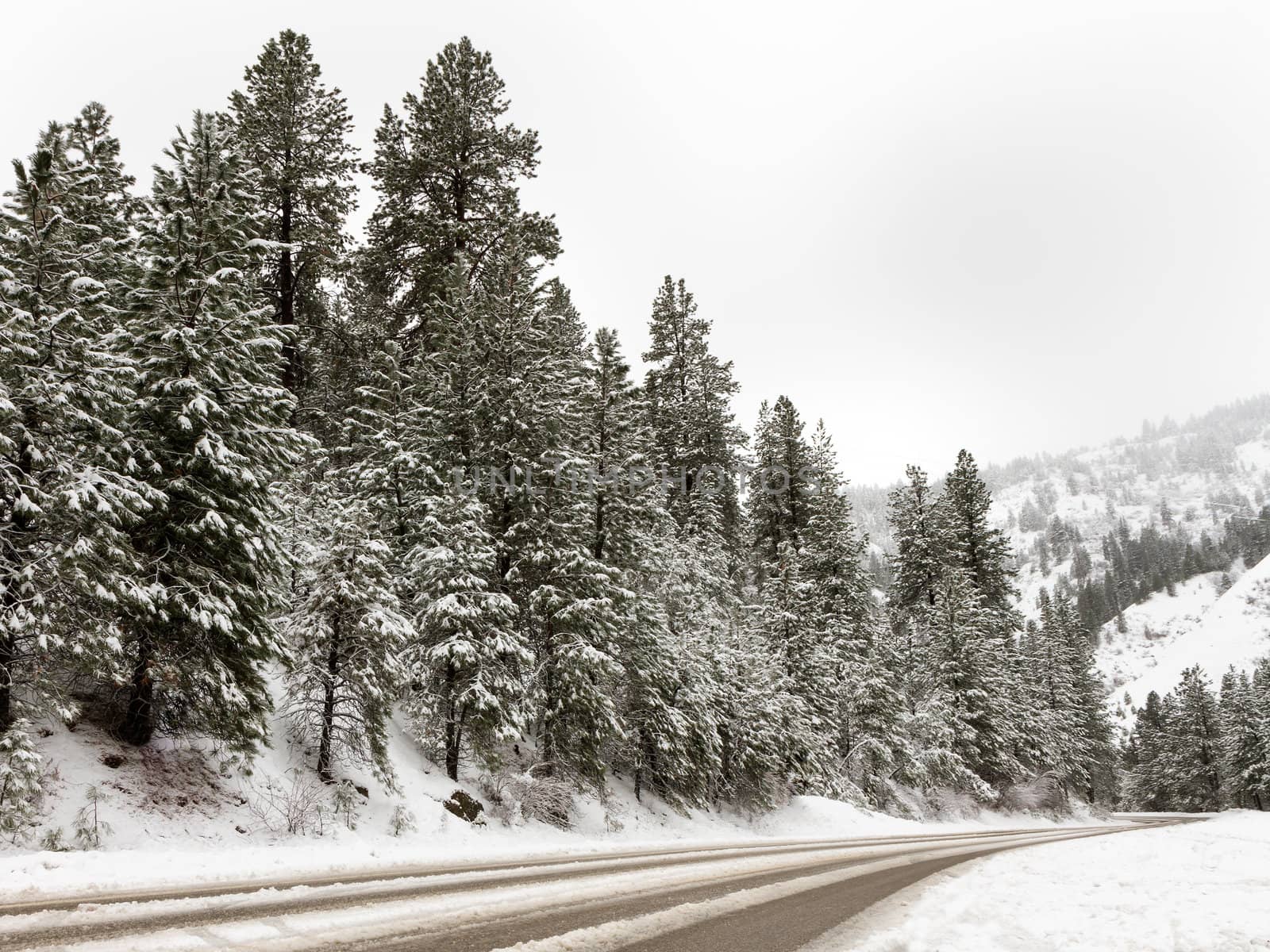 Cold day up in the mountains with a road that people have gone over. Scene is covered in snow.