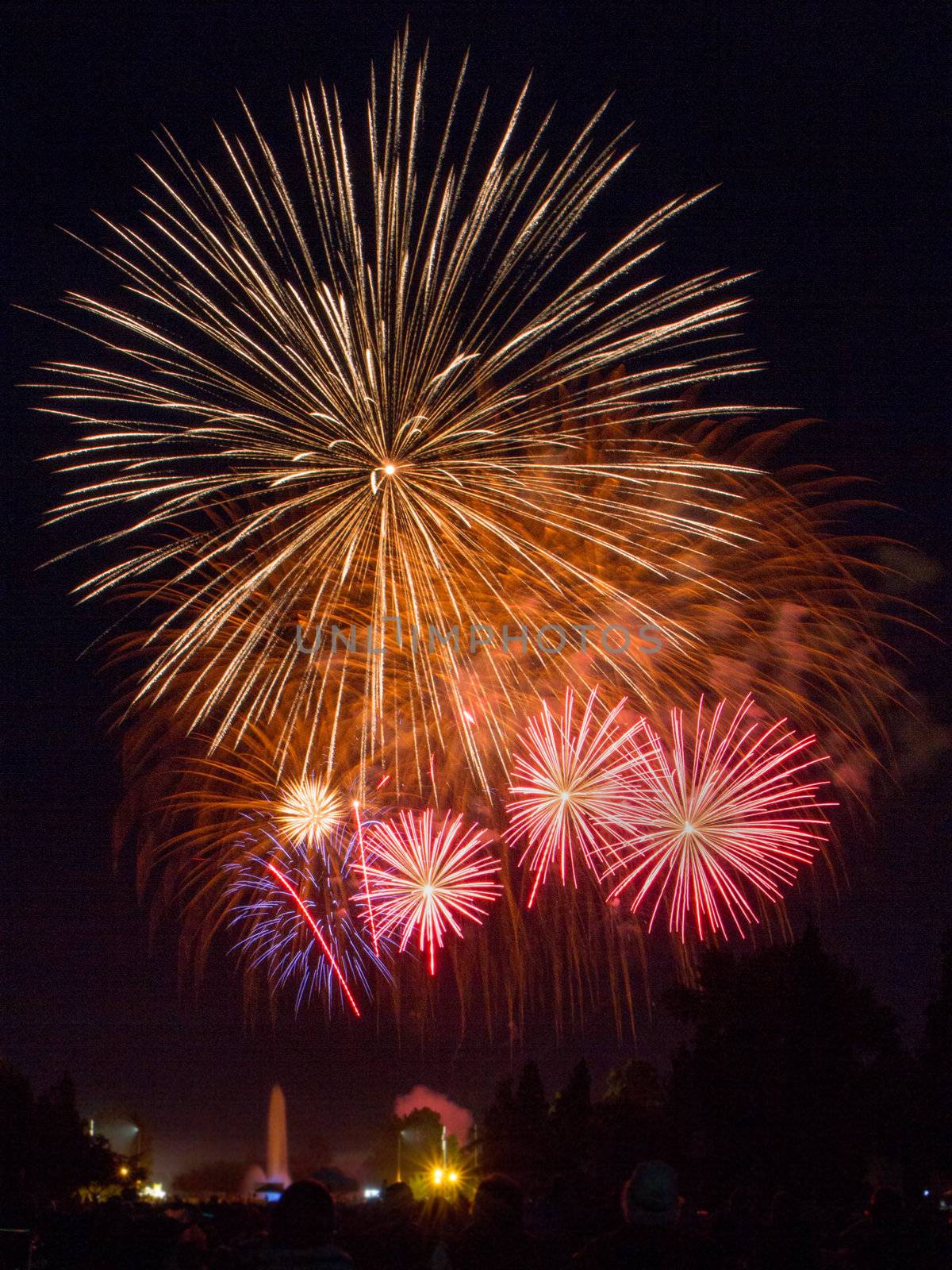 Large showing of fireworks in front of a crowd by txking