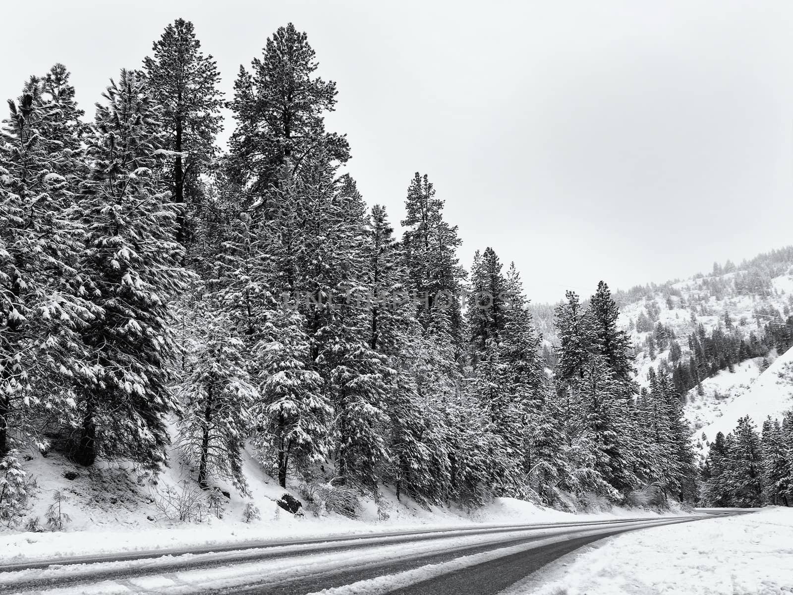 Photo has a slight blue tint and is showing a mountain pass in the mountains.