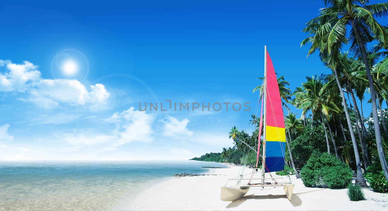 Tropical beach: ocean sea and tropical beach with palm and boat