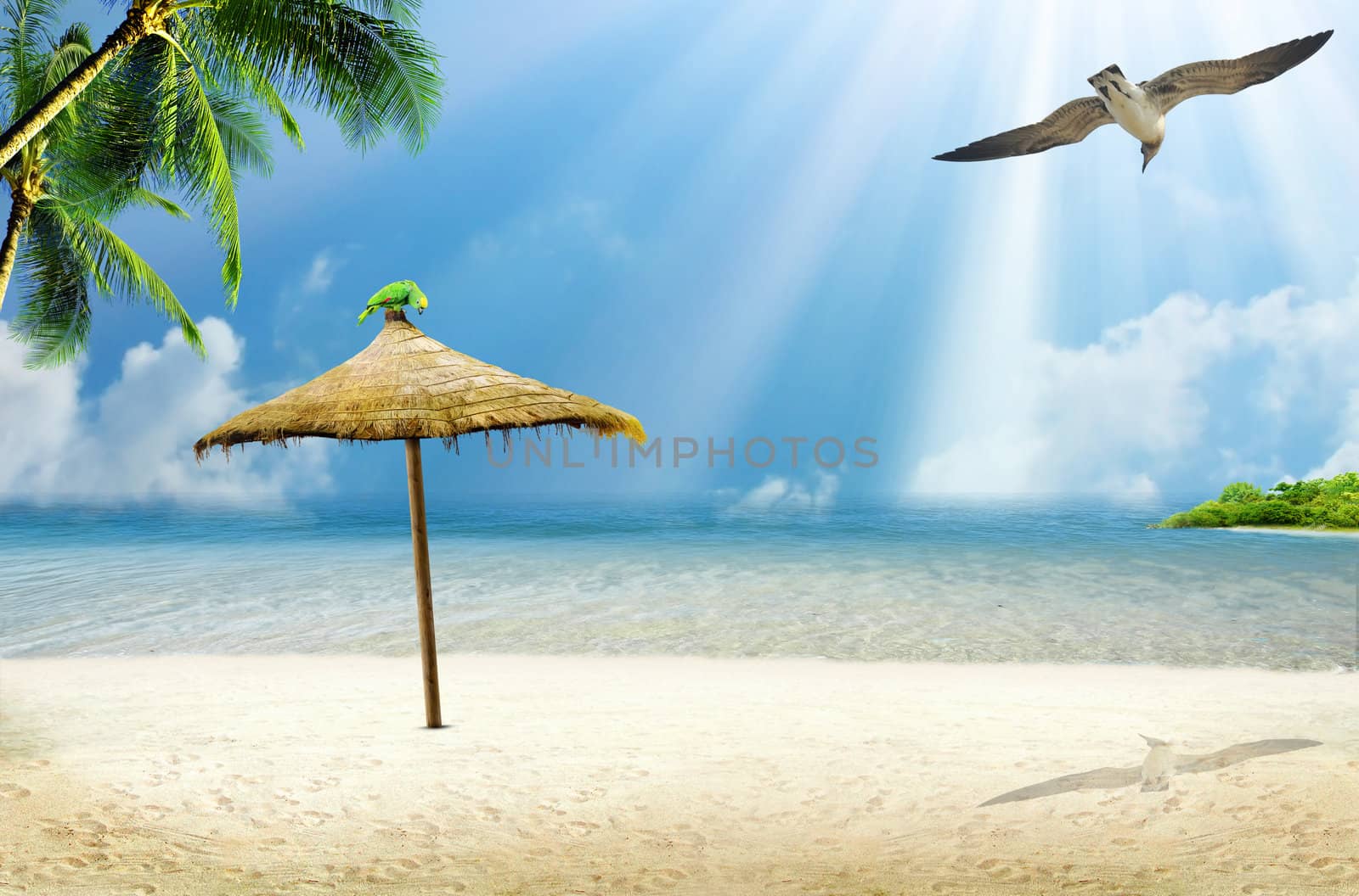 Tropical island: ocean sea and tropical beach with palm, beach umbrella and parrot