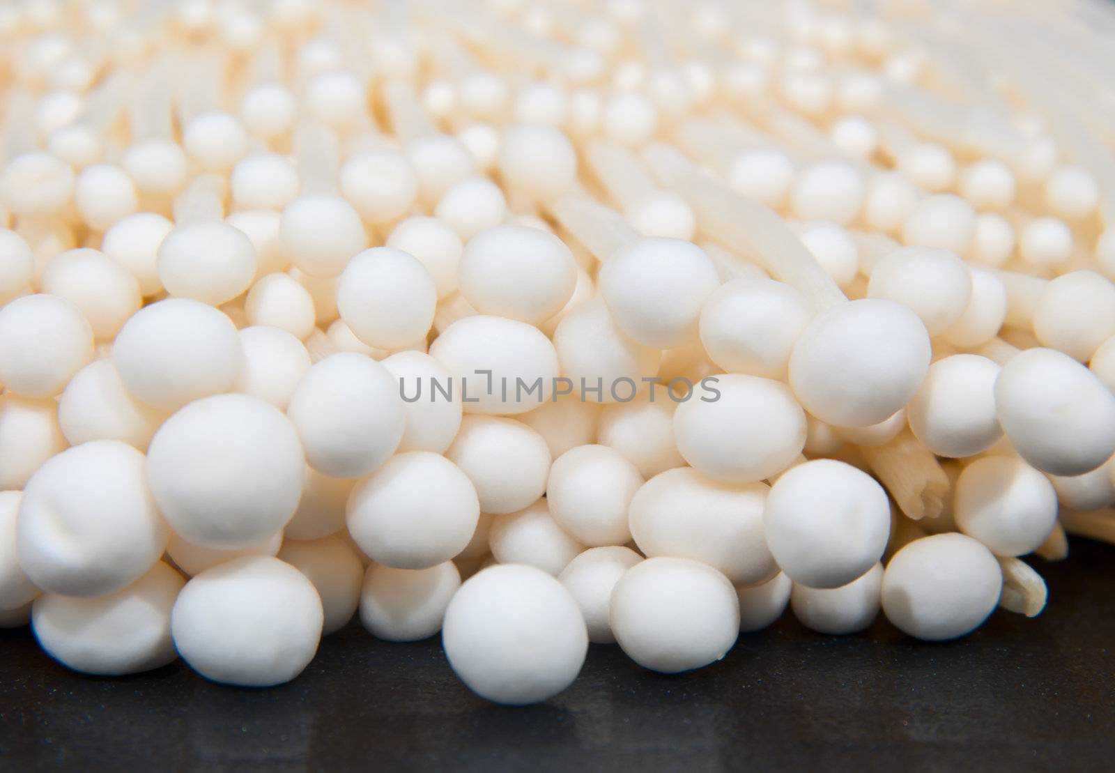 Closeup of Golden Needle Mushroom