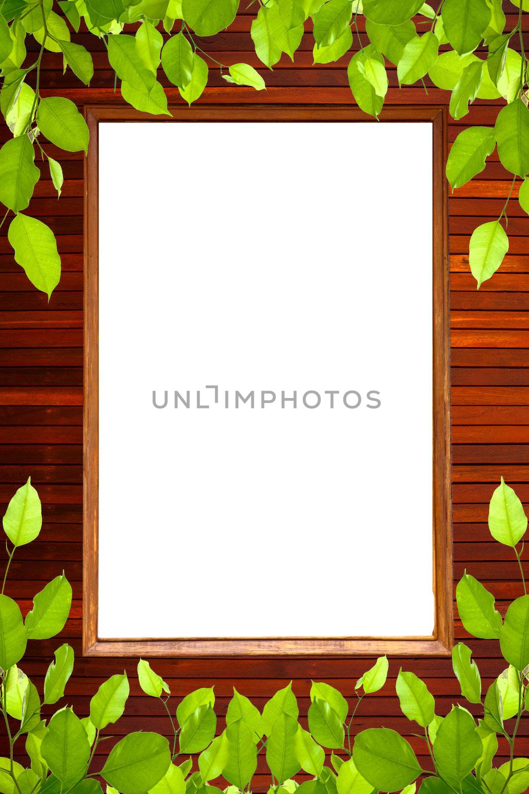 Frame, surrounded by green leaves.
