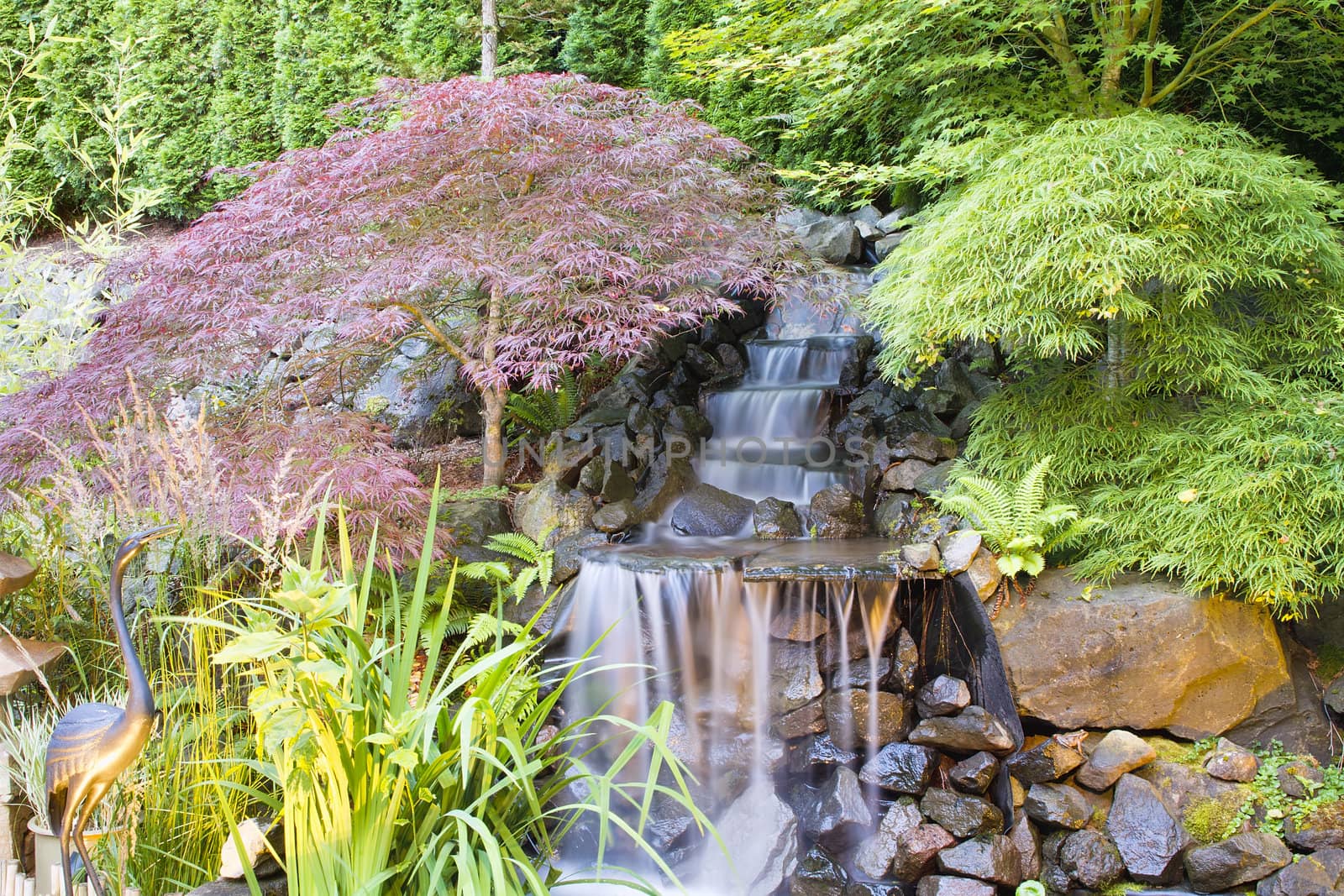 Backyard Waterfall Pond with Japanese Maple Trees and Bronze Crane Statue