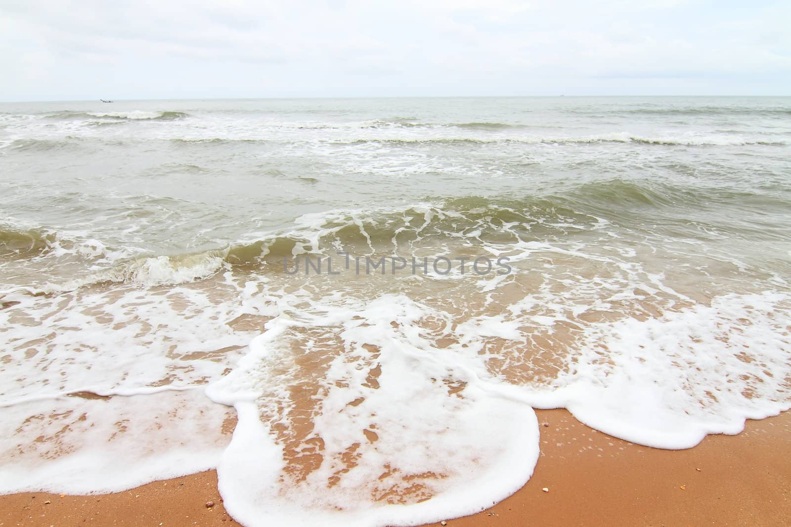 sand  on the tropical beach
 by rufous