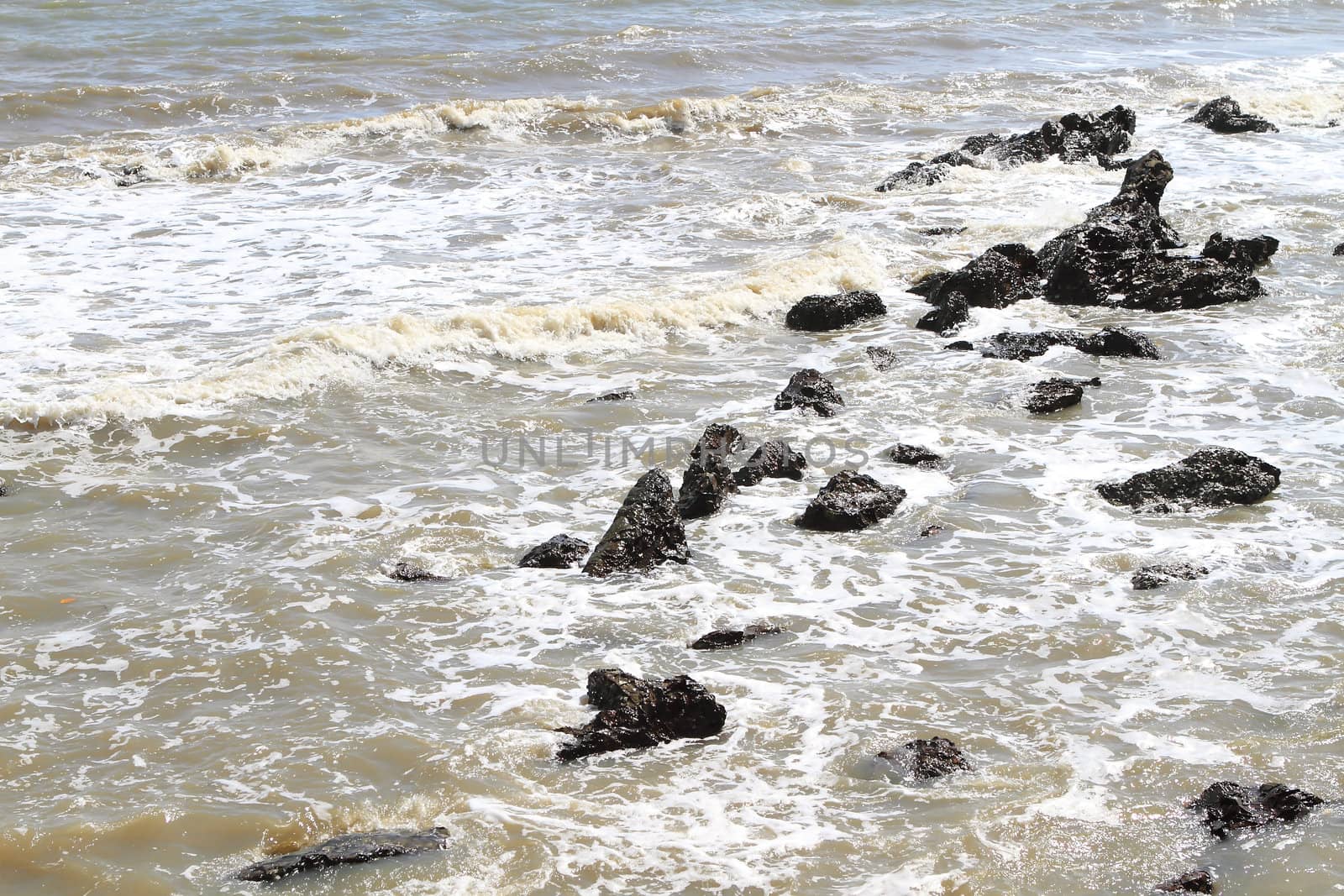 Stones on the tropical beach by rufous