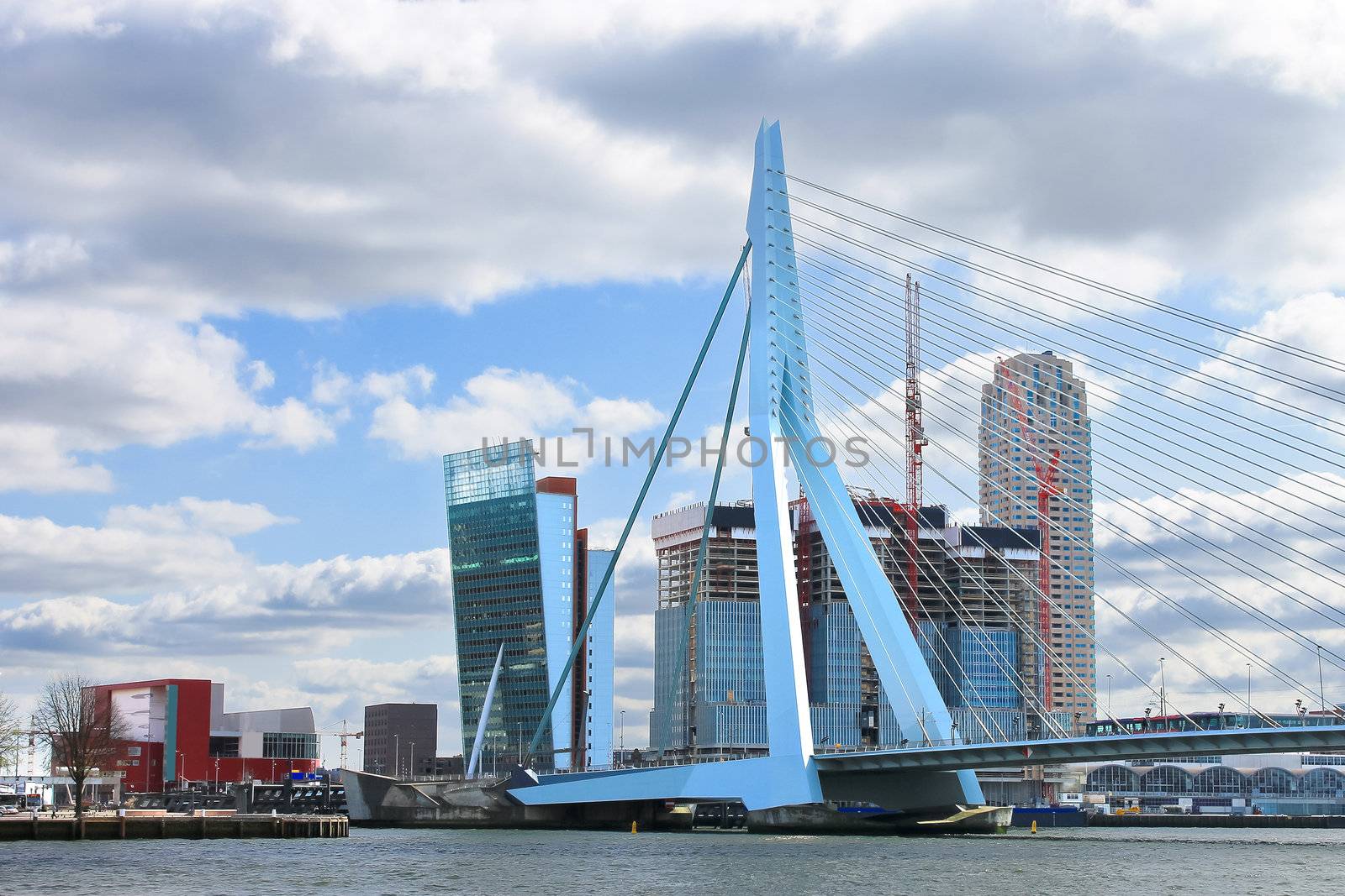 Erasmus Bridge in  Rotterdam . Netherlands by NickNick