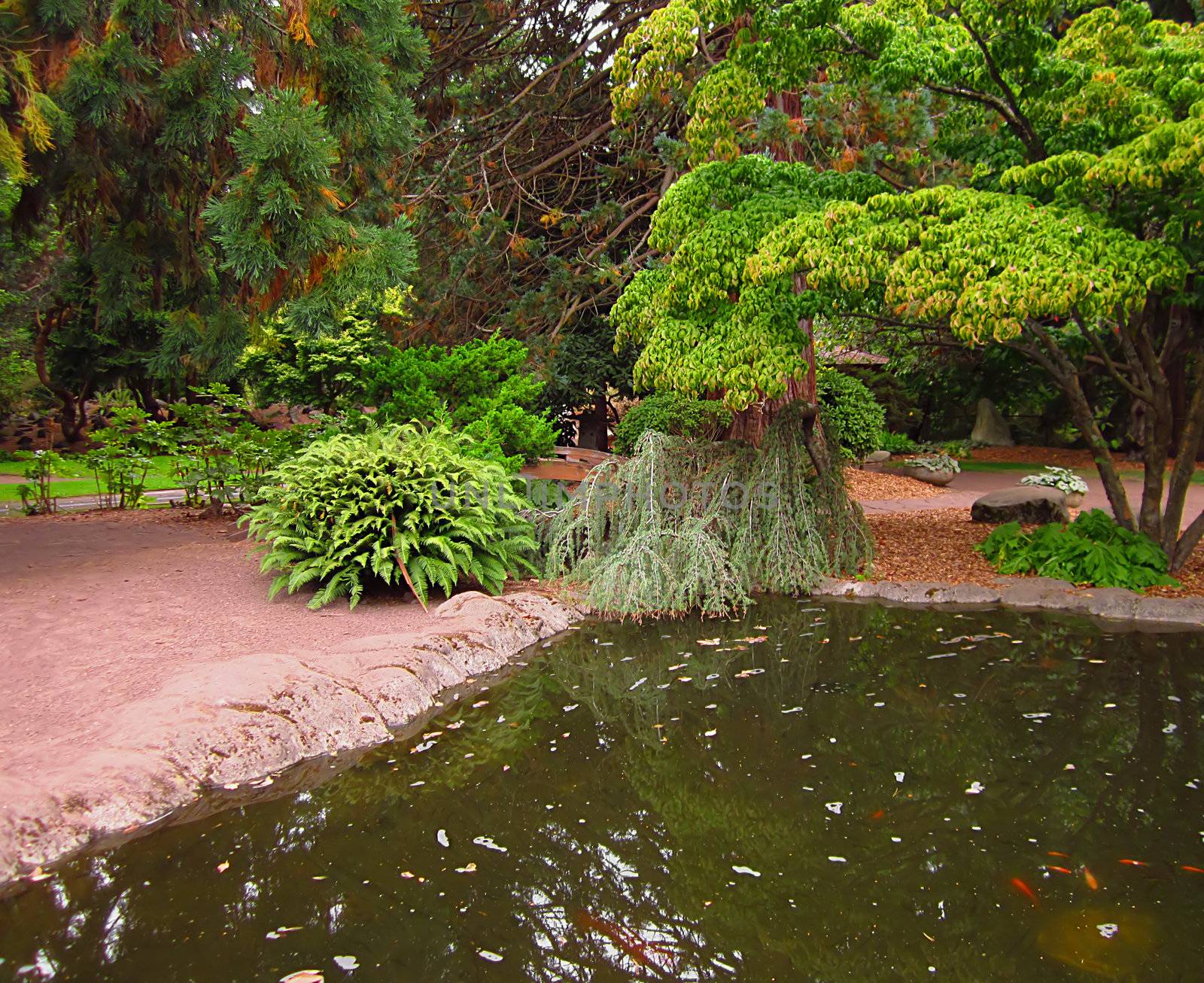 A photograph of an Asian style garden located at a public park.