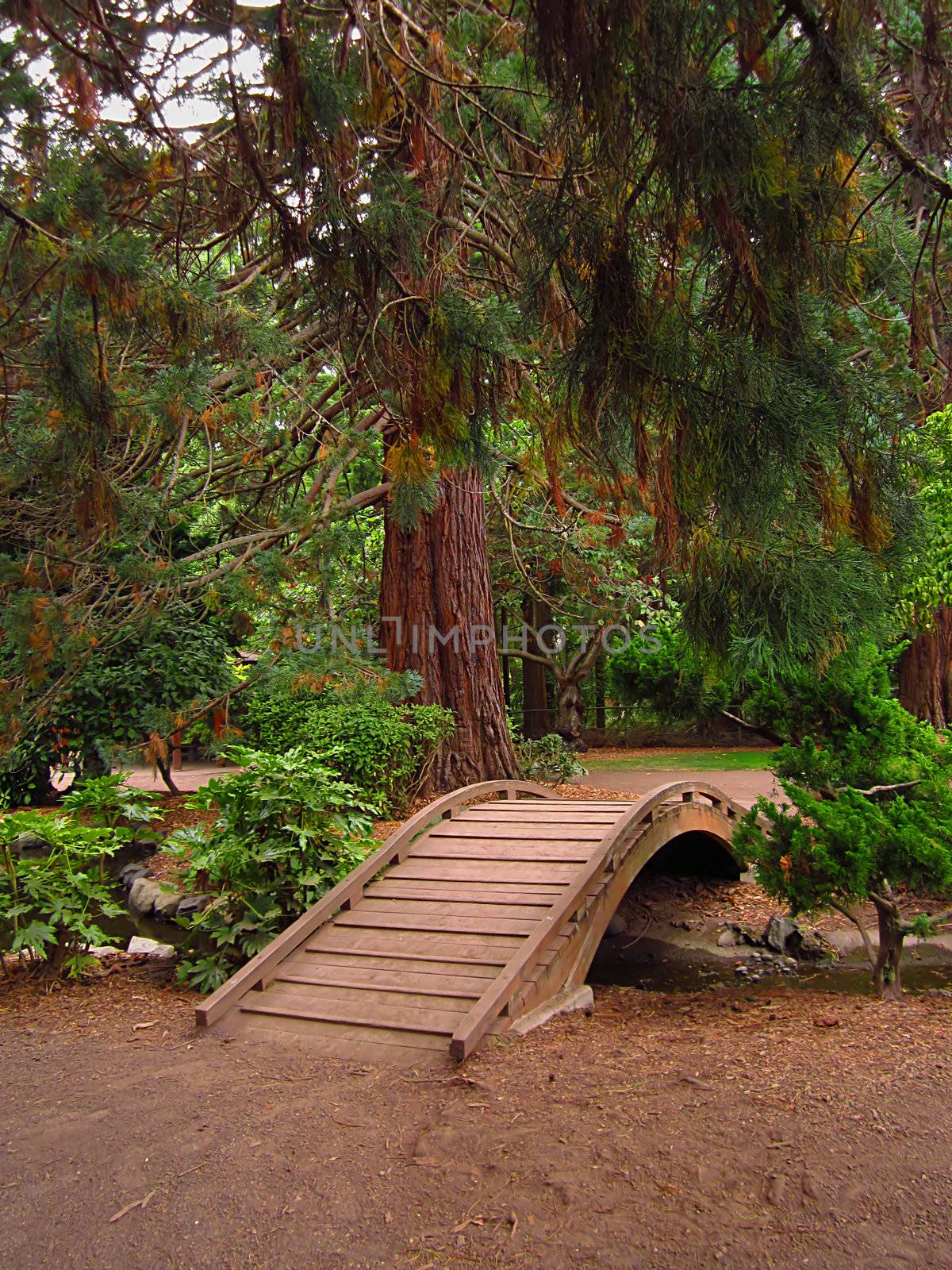 A photograph of an Asian style garden located at a public park.