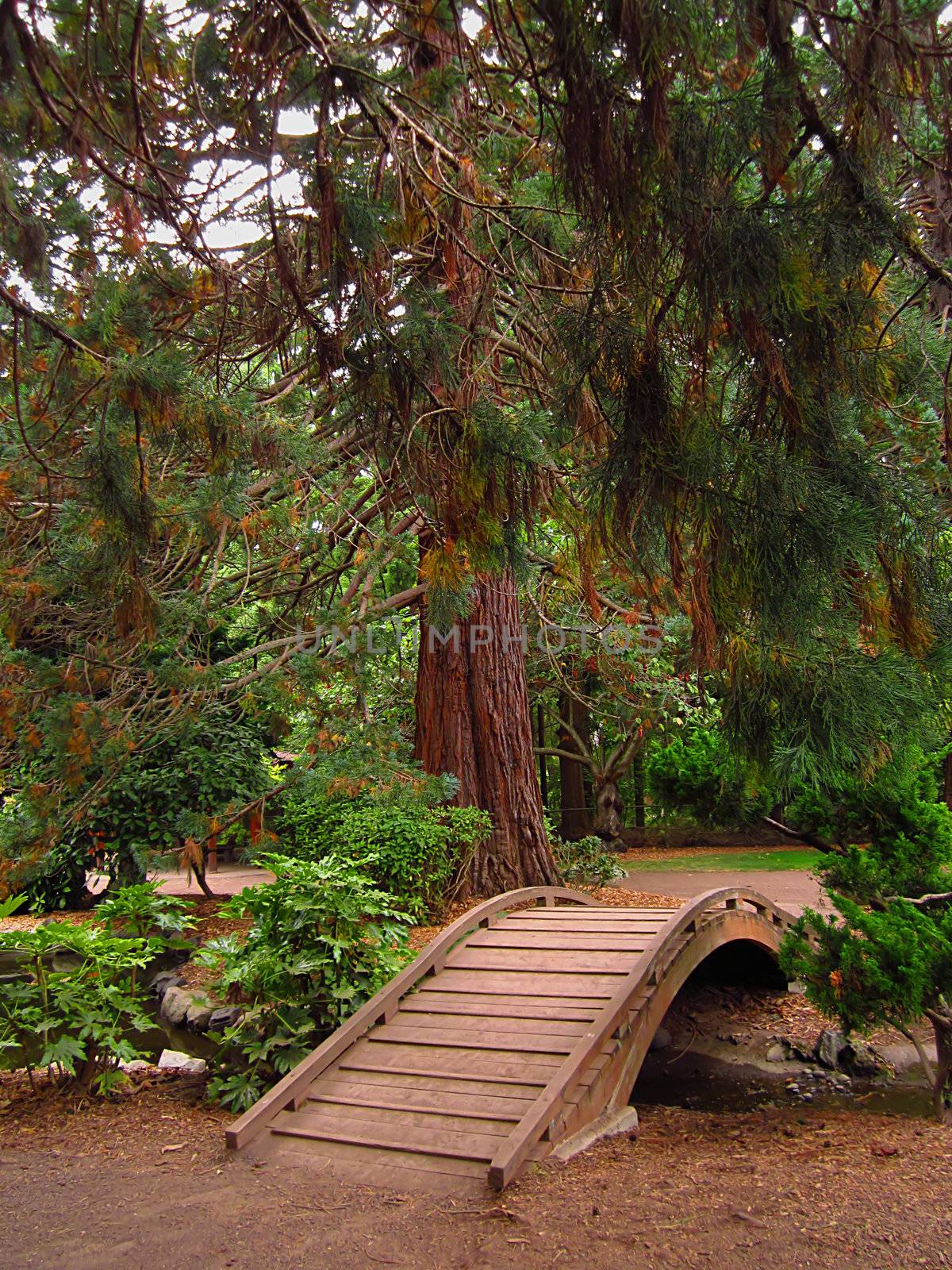 A photograph of an Asian style garden located at a public park.