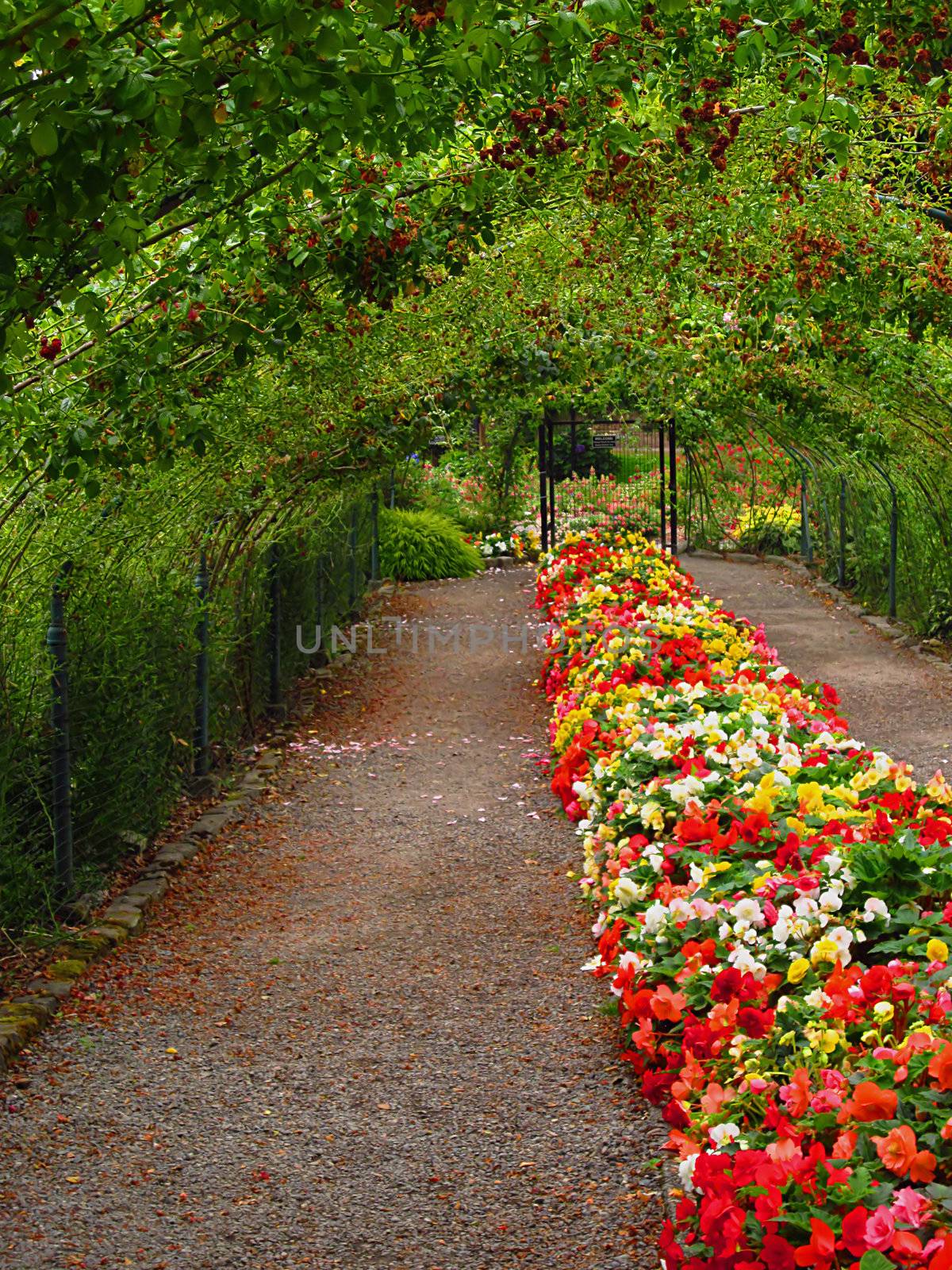 A photograph of a flower garden located at a public park.