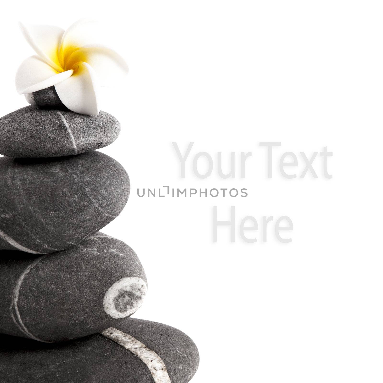 Stones pyramide with a plumeria flower, isolated on white background, with copy space for designers