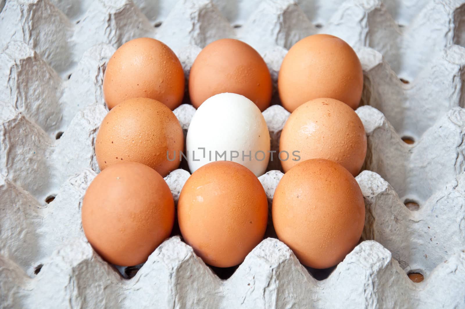 white and brown egg for food