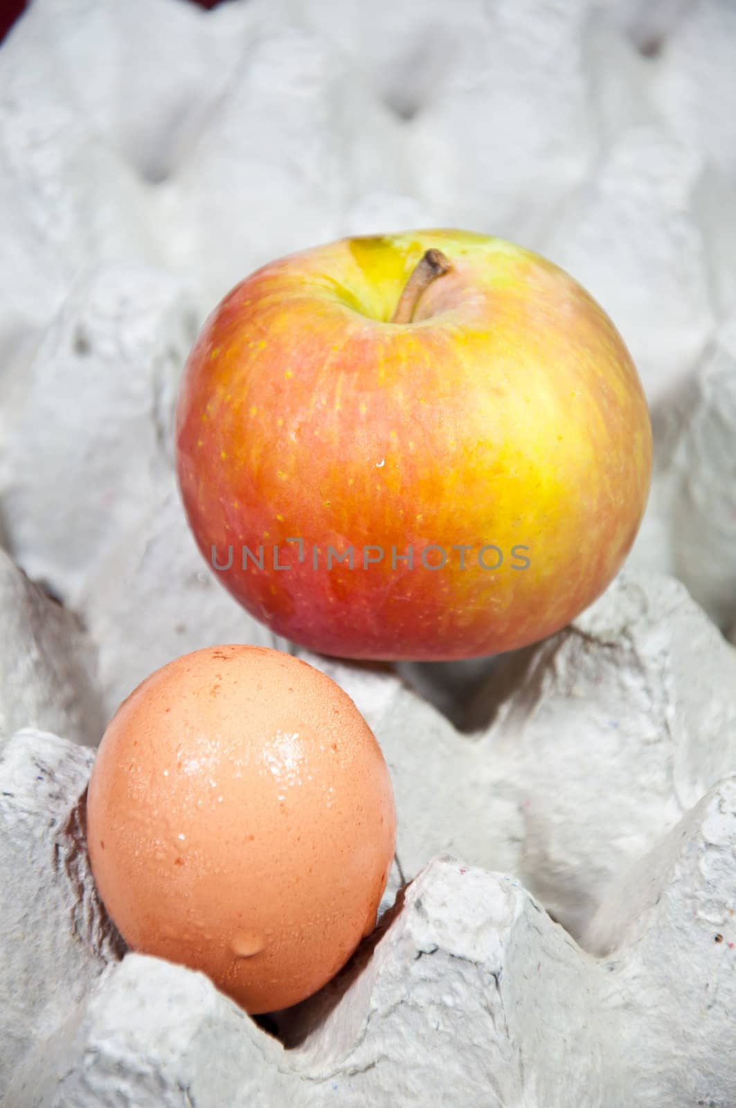 apple and egg for food