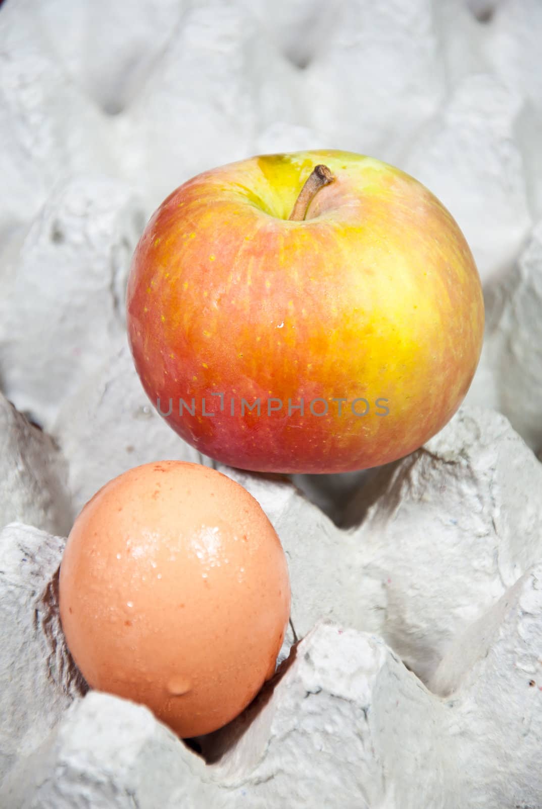 apple and egg for food