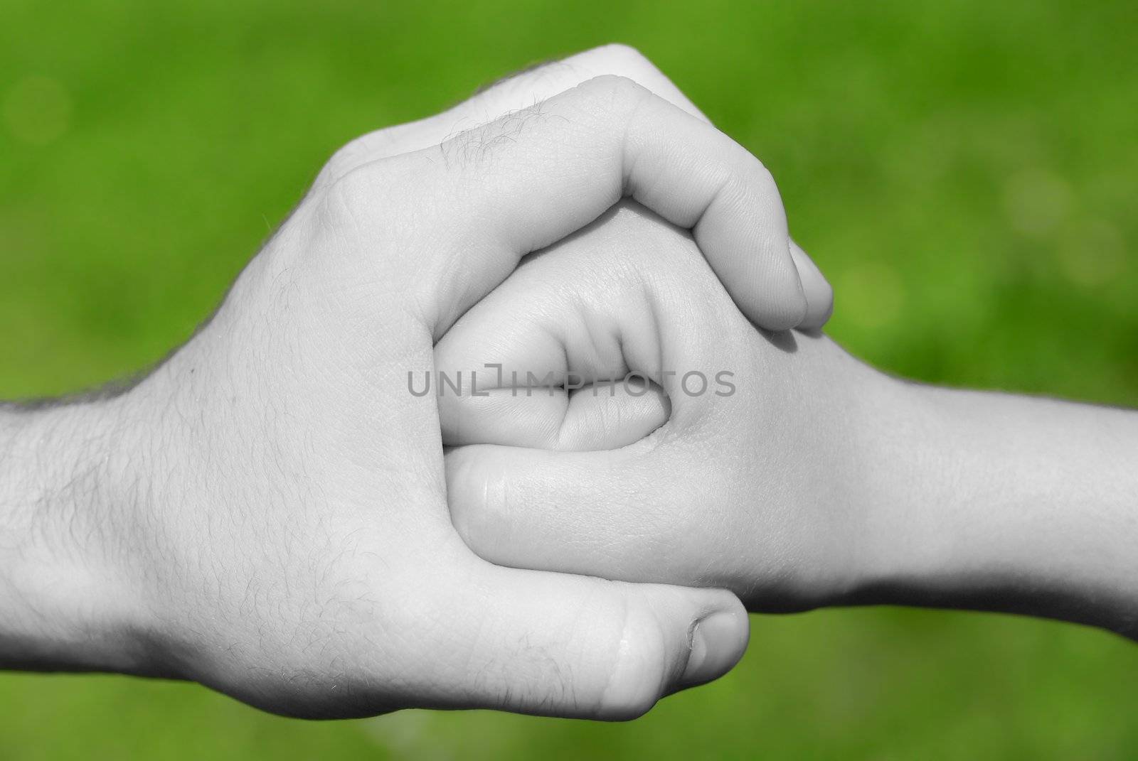 black and white hand holding or stopping a fist in frot of green background
